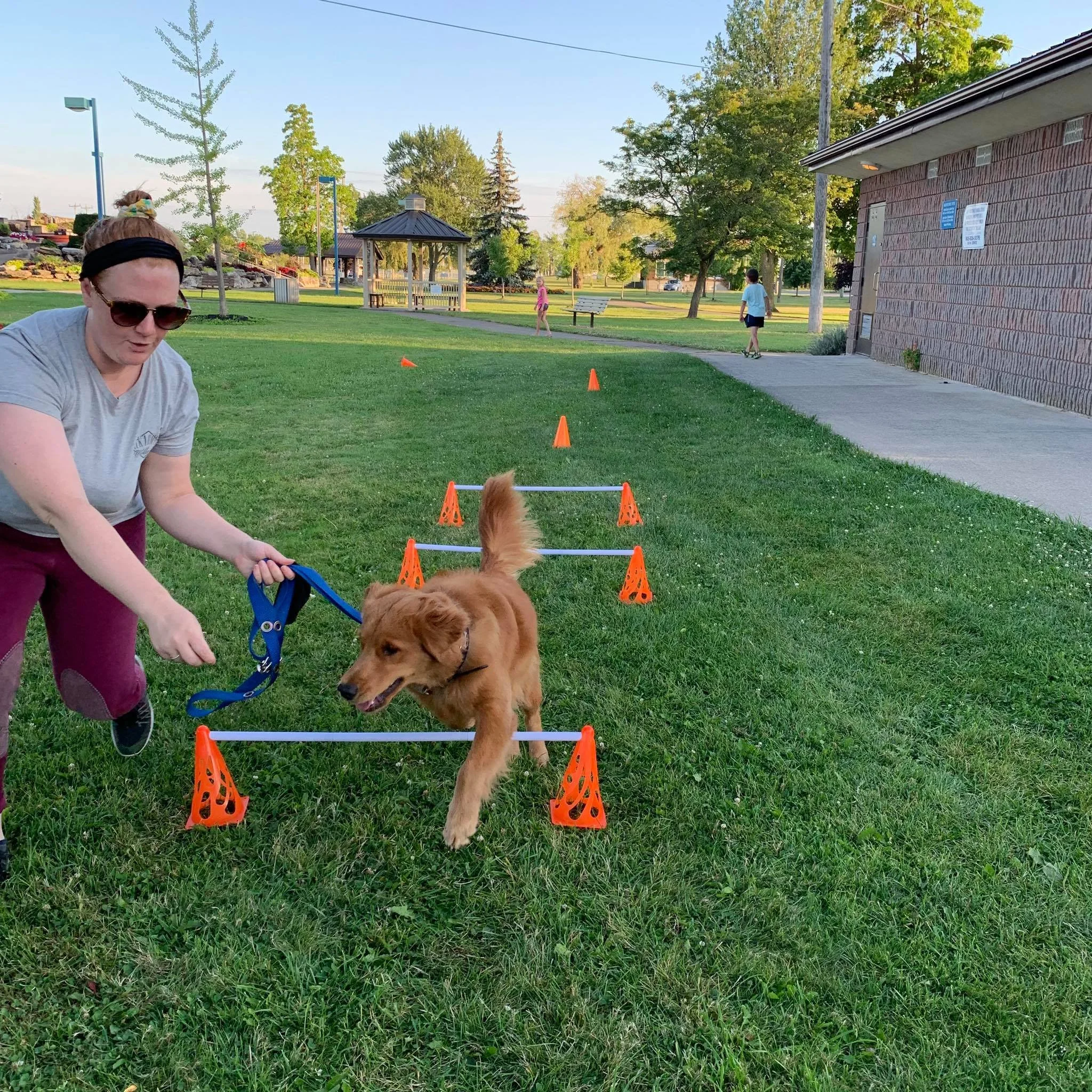 dog-mind-training-port-colborne.jpg