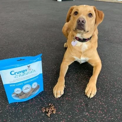 dog-food-crumps-welland.jpg