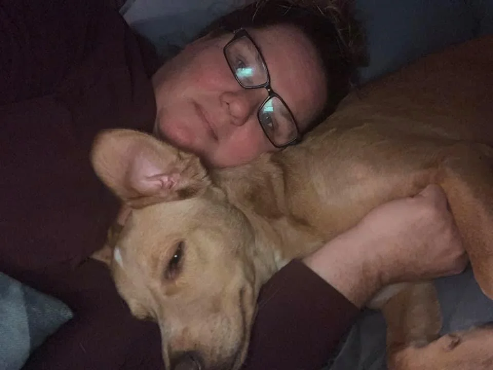 dog-connection-banks.jpg