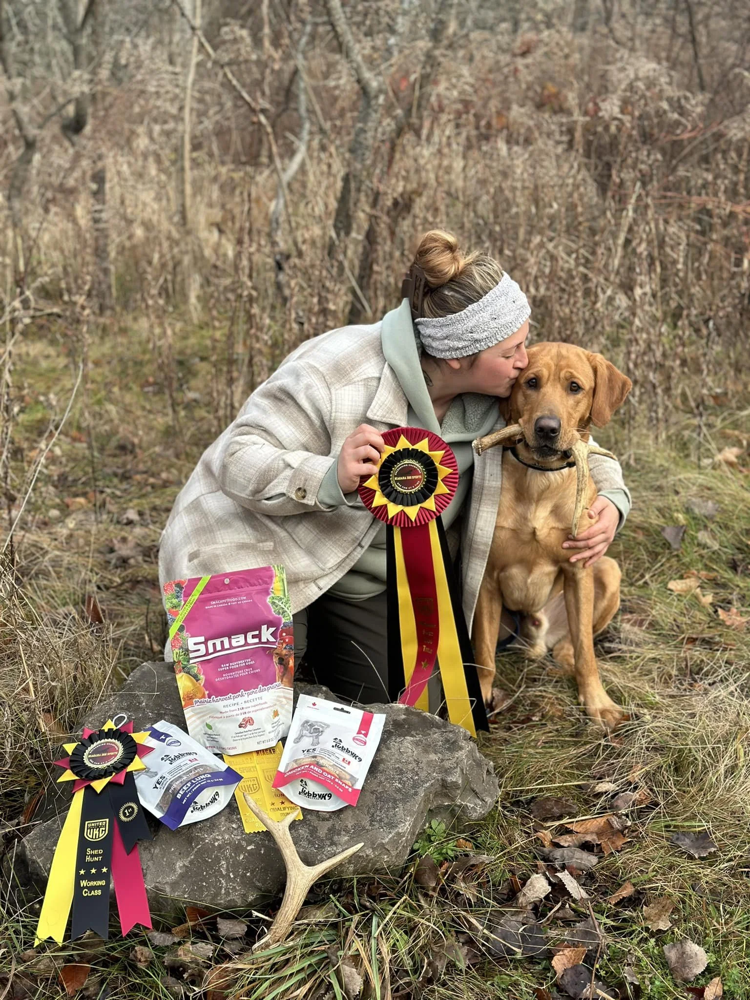 dog-connection-sheds.jpg