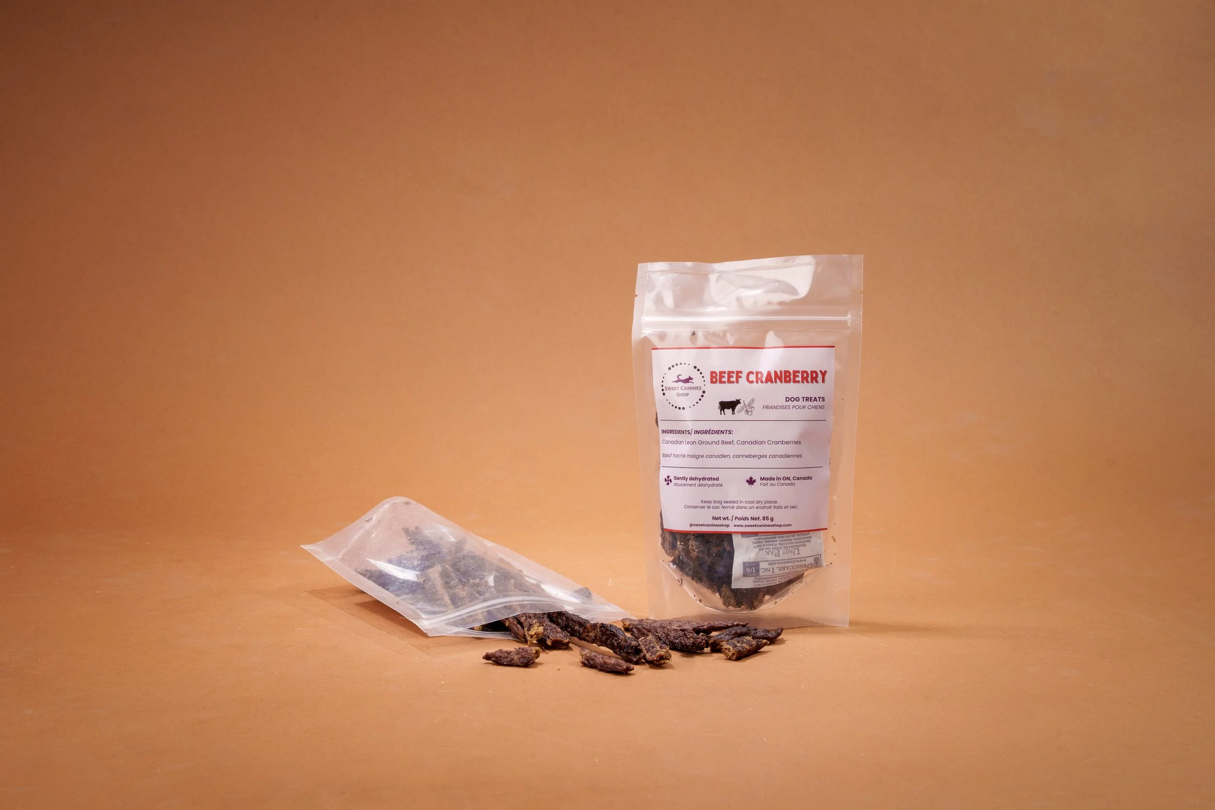 sweet canine-09510.jpg
