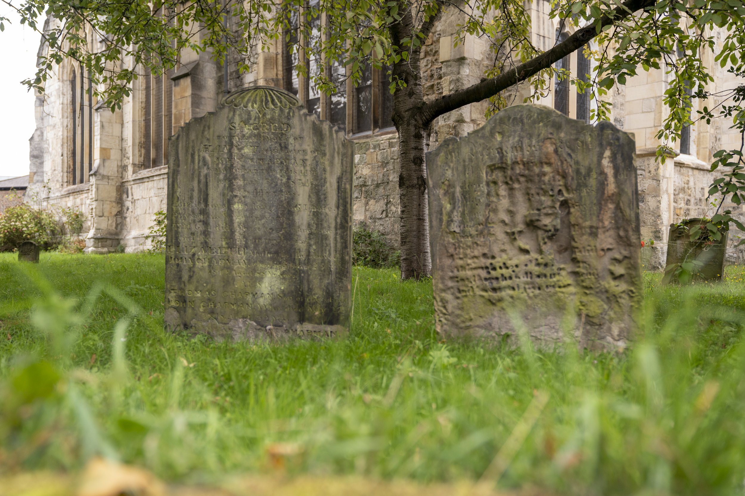 york-05317.jpg