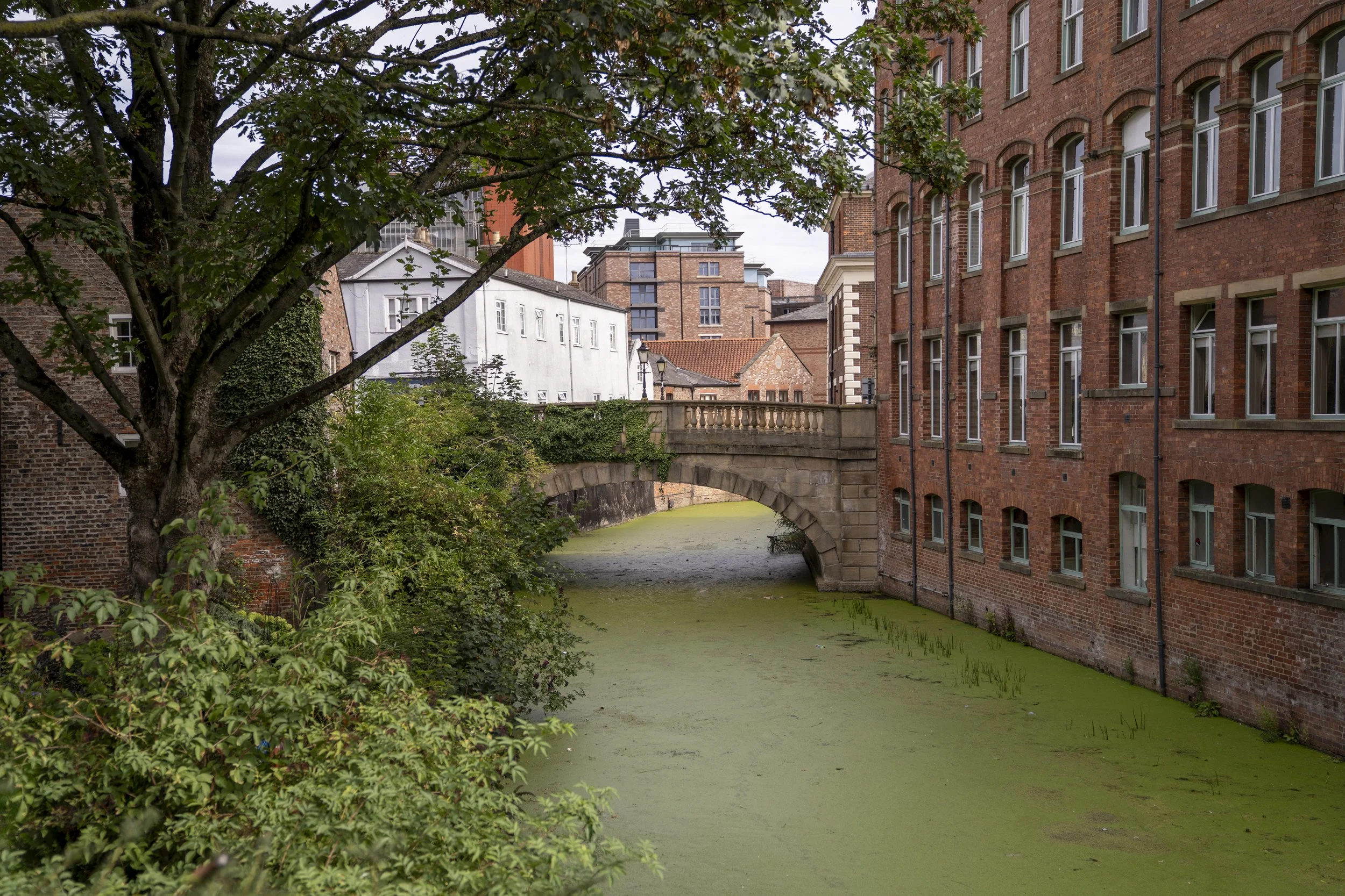 york-05313.jpg