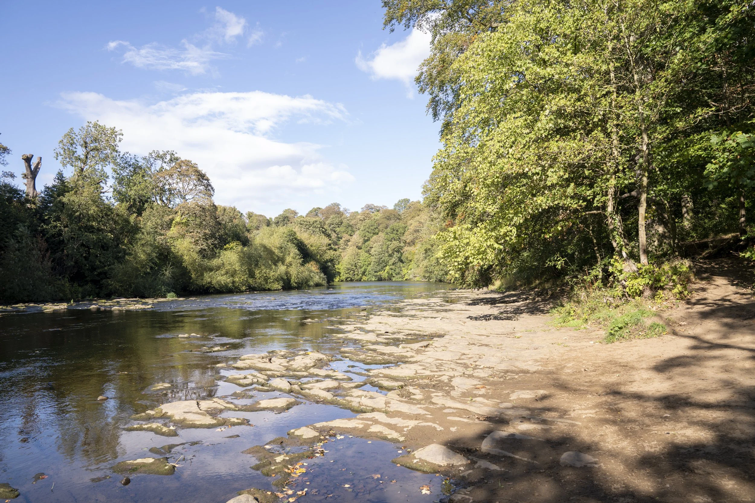 Finchale river-05615.jpg