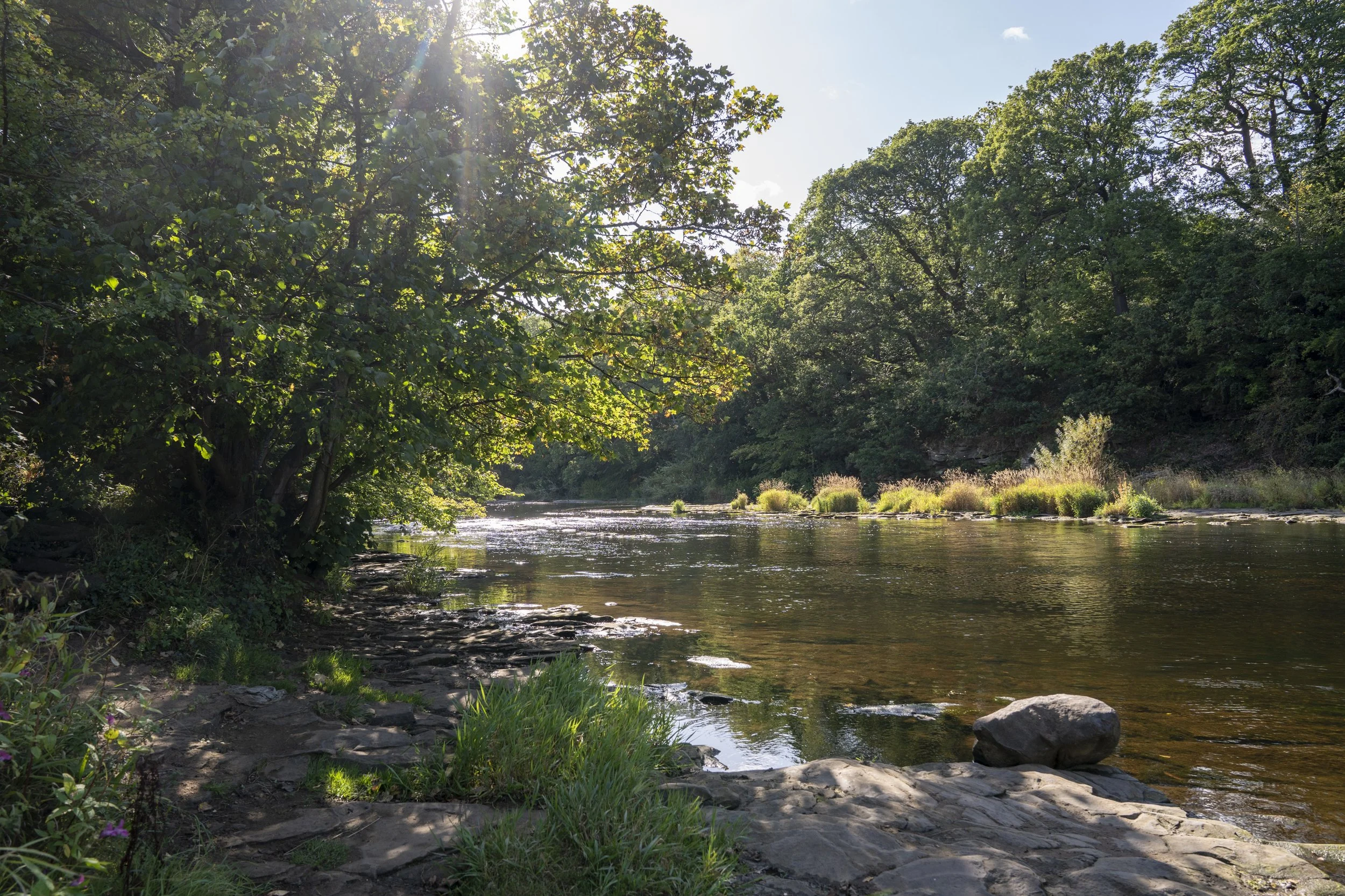 Finchale river-05614.jpg