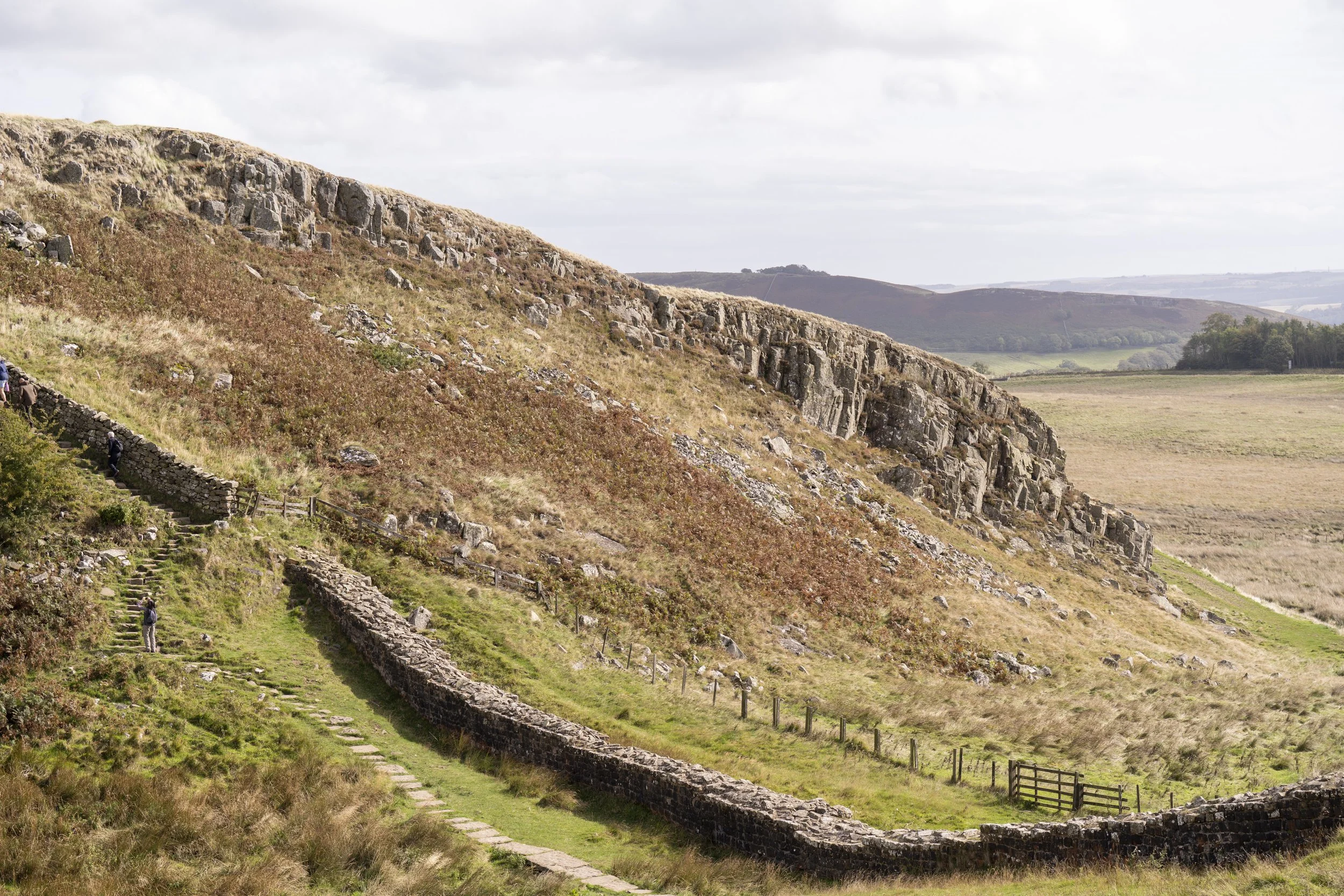 Sycamore Gap-05850.jpg