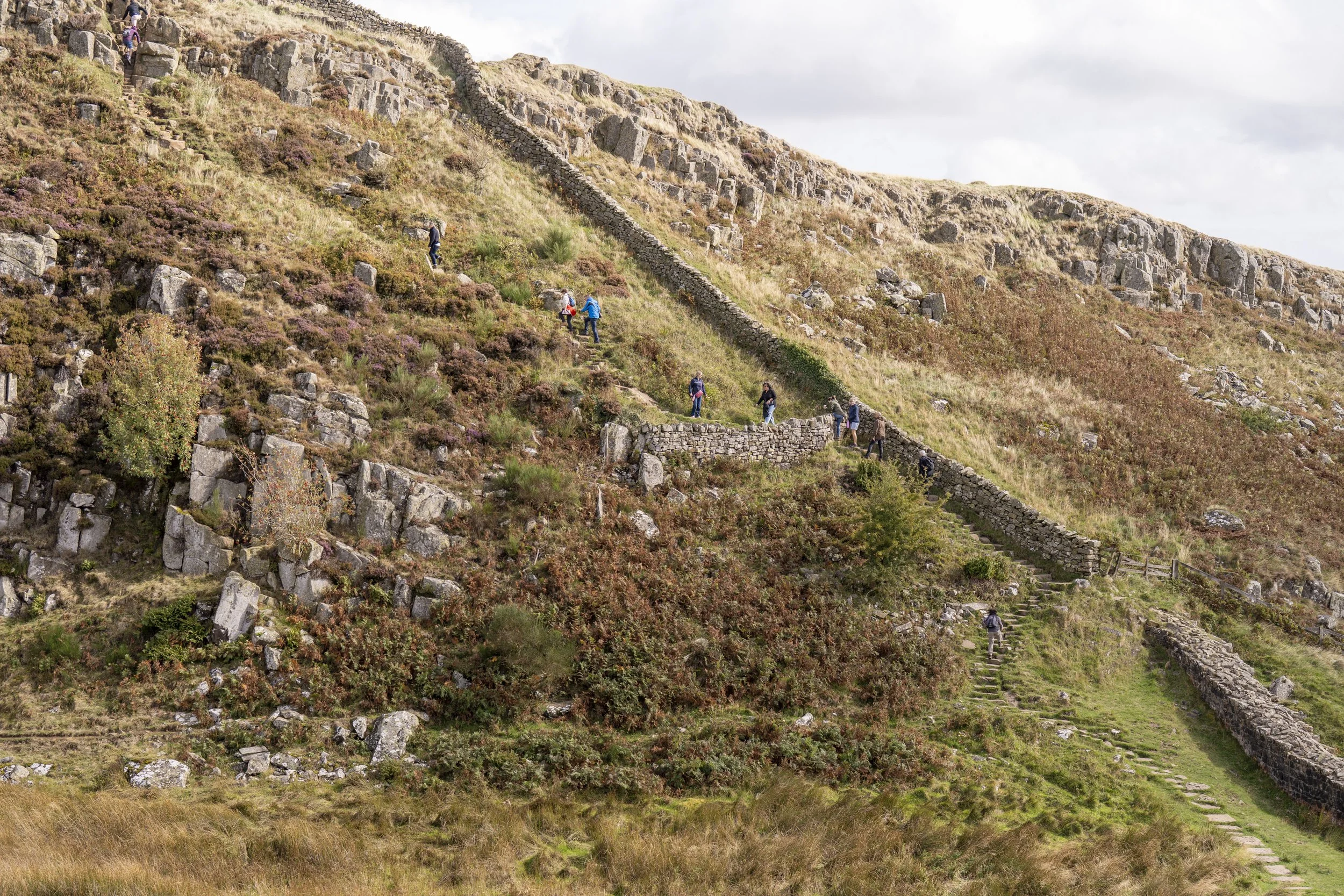 Sycamore Gap-05852.jpg