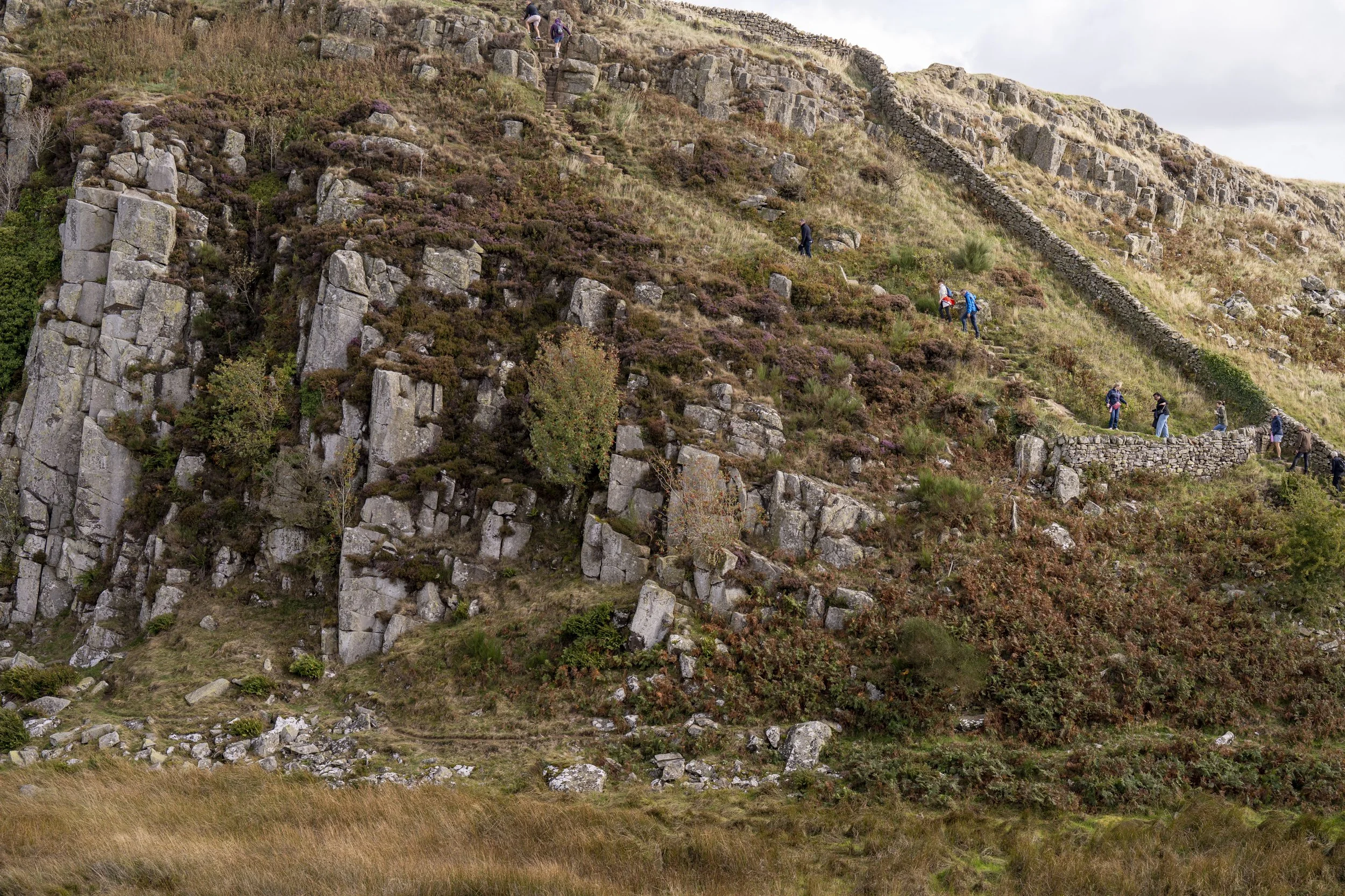 Sycamore Gap-05853.jpg