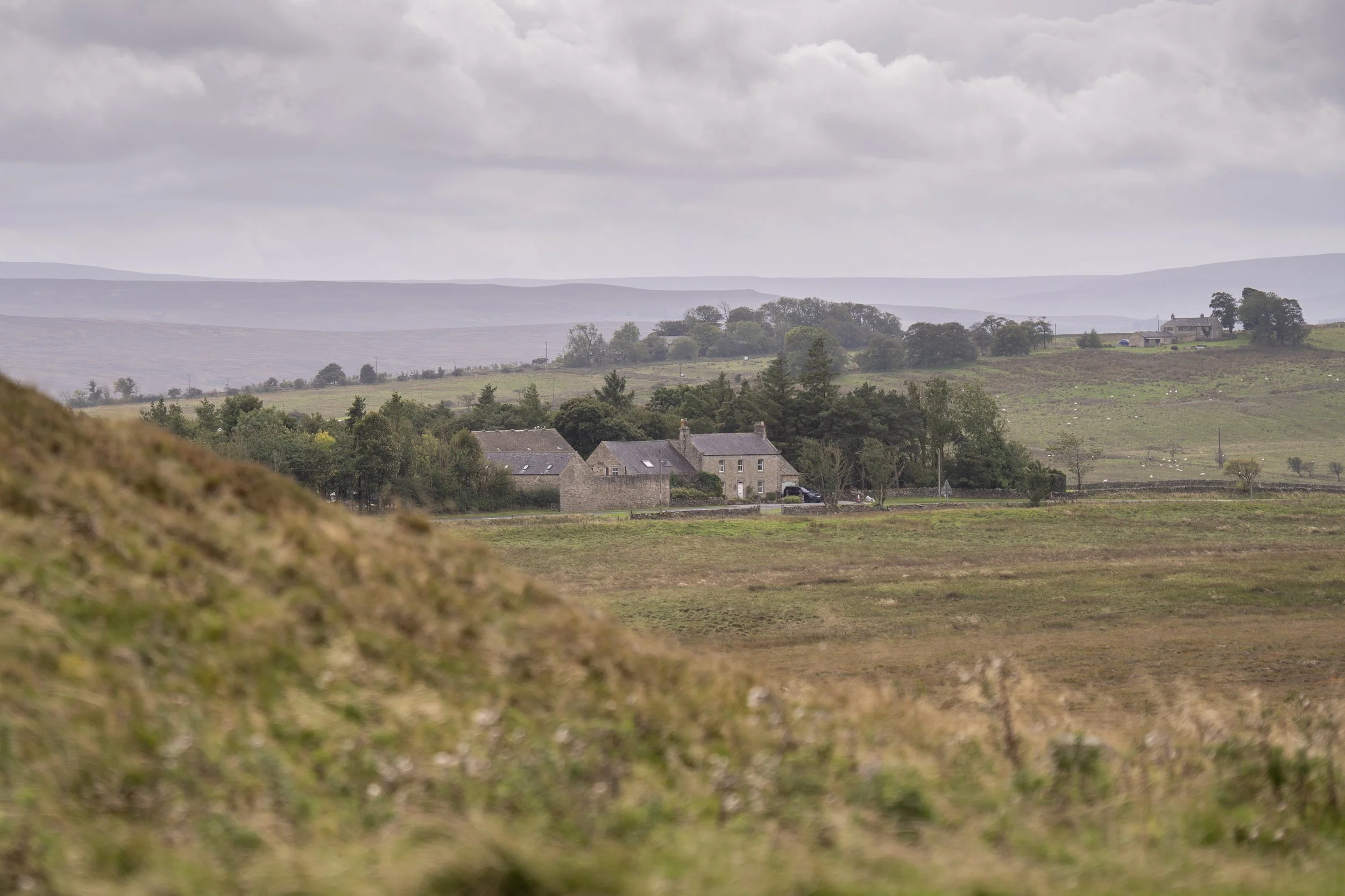 Sycamore Gap-05912.jpg