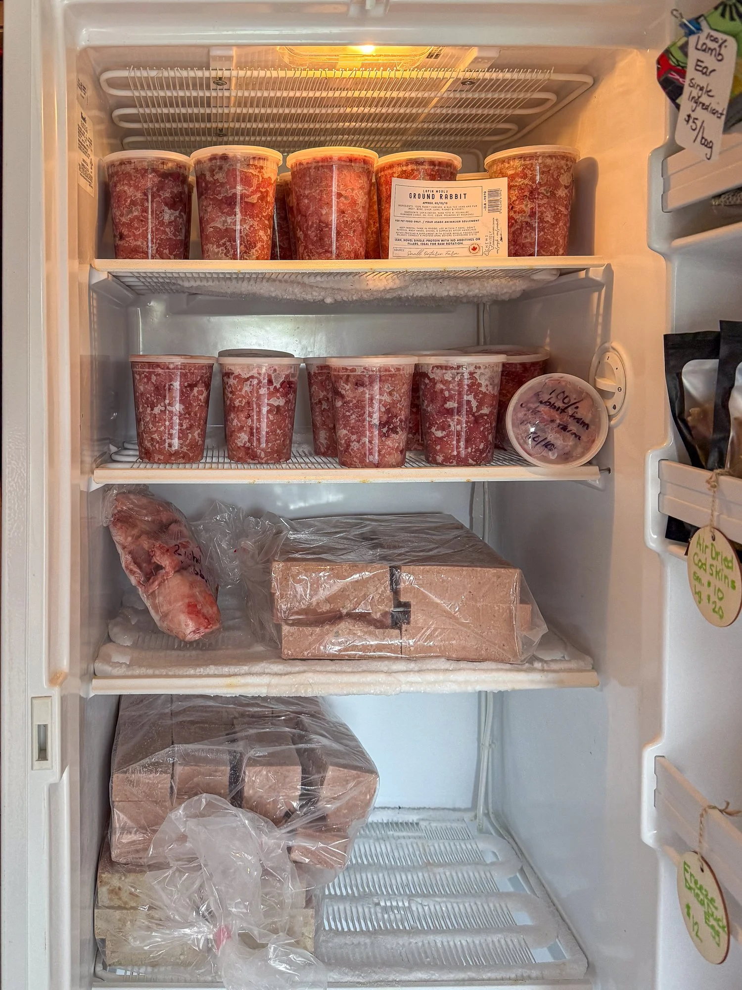 Raw dog food in a freezer in Niagara