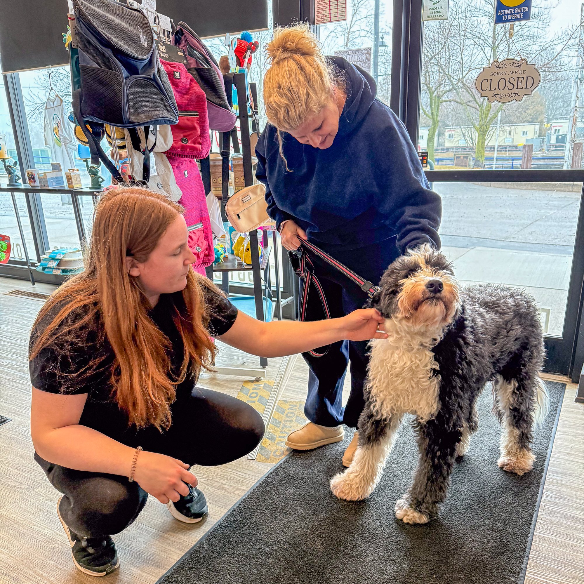 a dog groomer greeting her doodle client