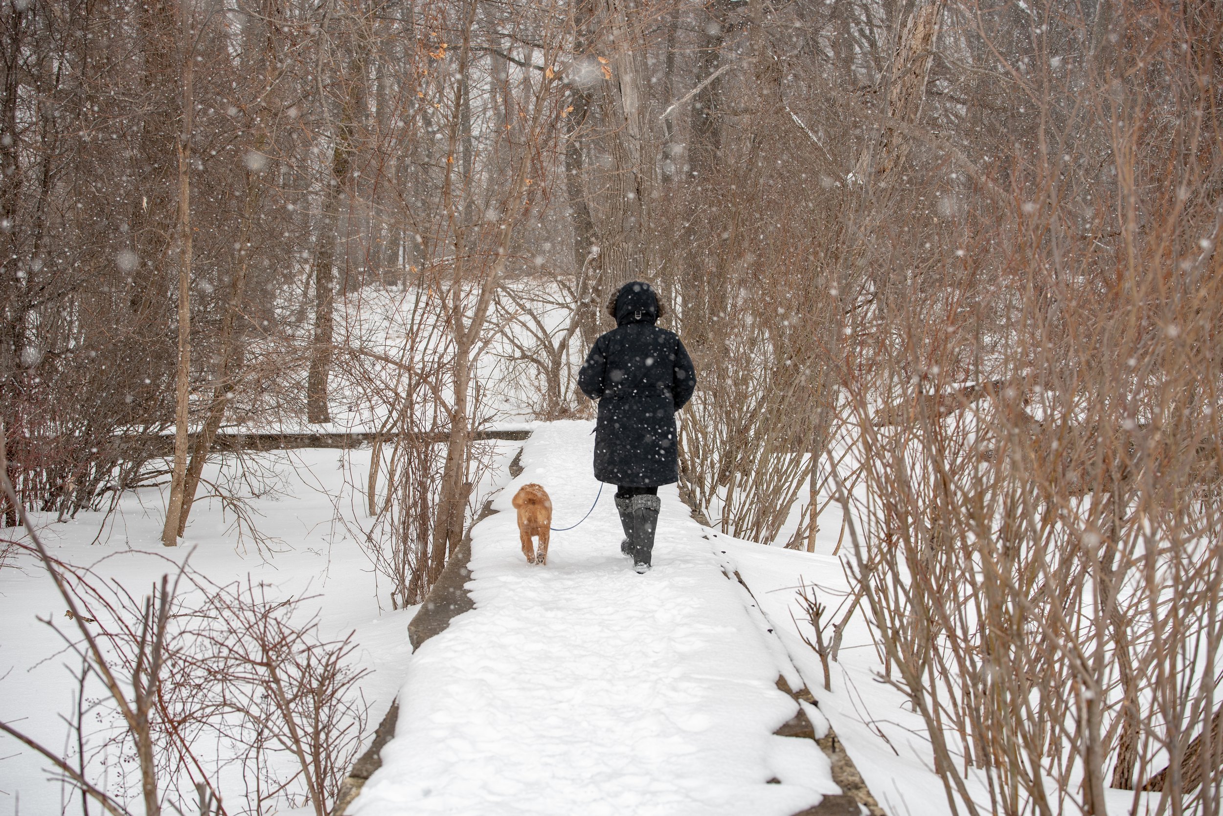 ALLY MURPHY WAVERLY BEACH-6.jpg