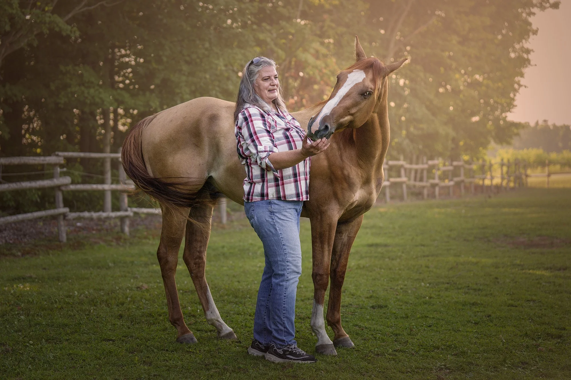 An owner talking to her horse in a paddock at sunset