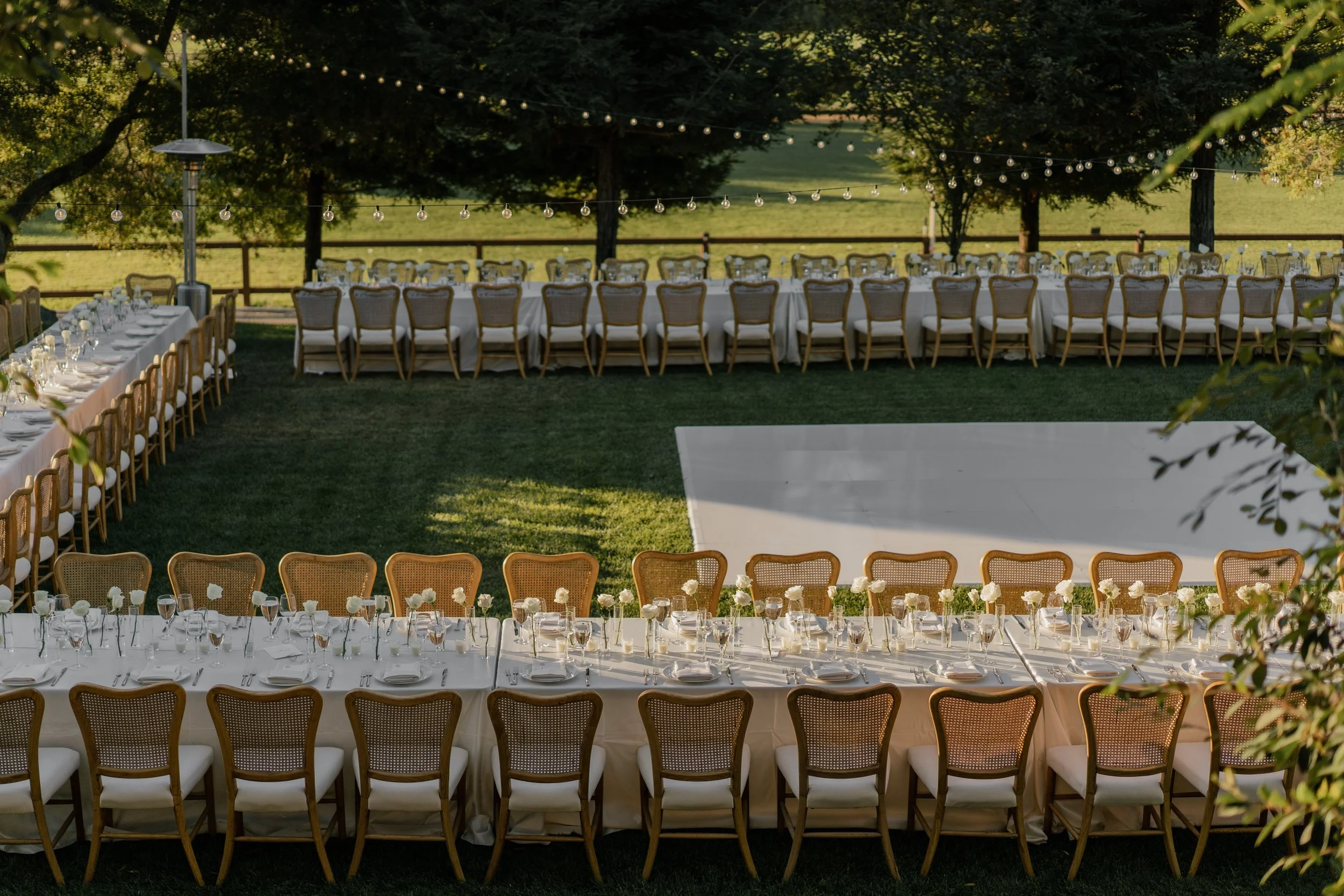 Senna + Jimmy v2 edits-77.jpg