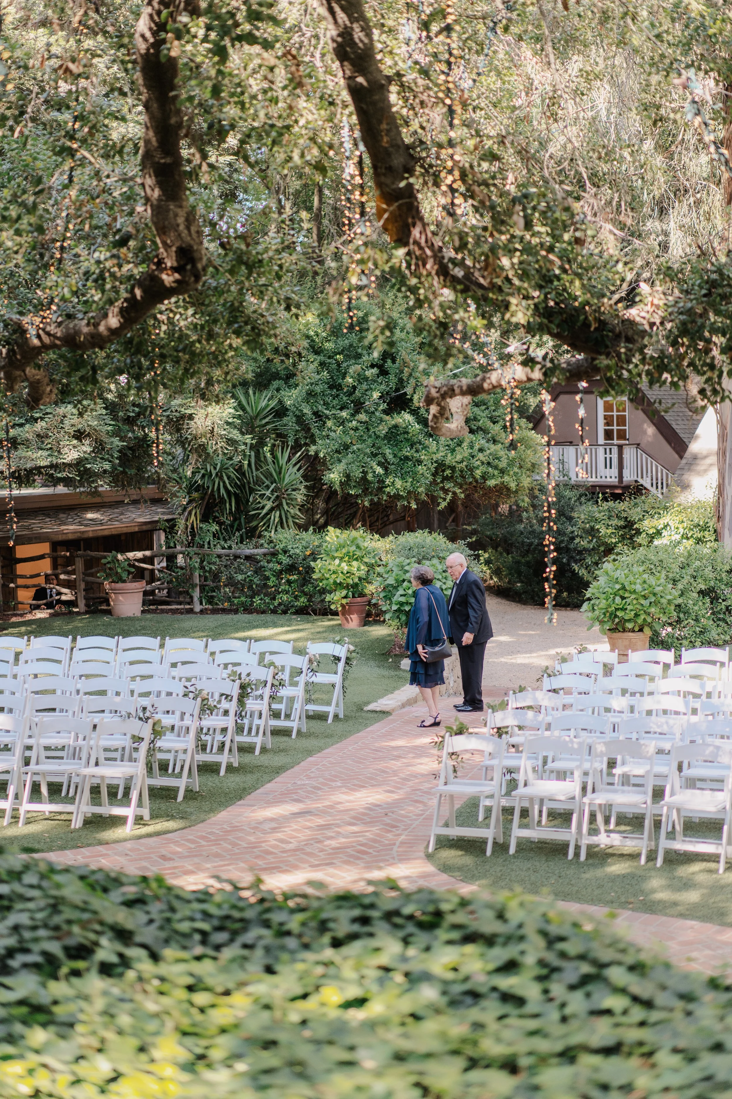 An outdoor wedding setup with white chairs arranged on either side of a brick aisle under a large tree with string lights, with an elderly couple walking along the aisle, surrounded by lush greenery and potted plants.