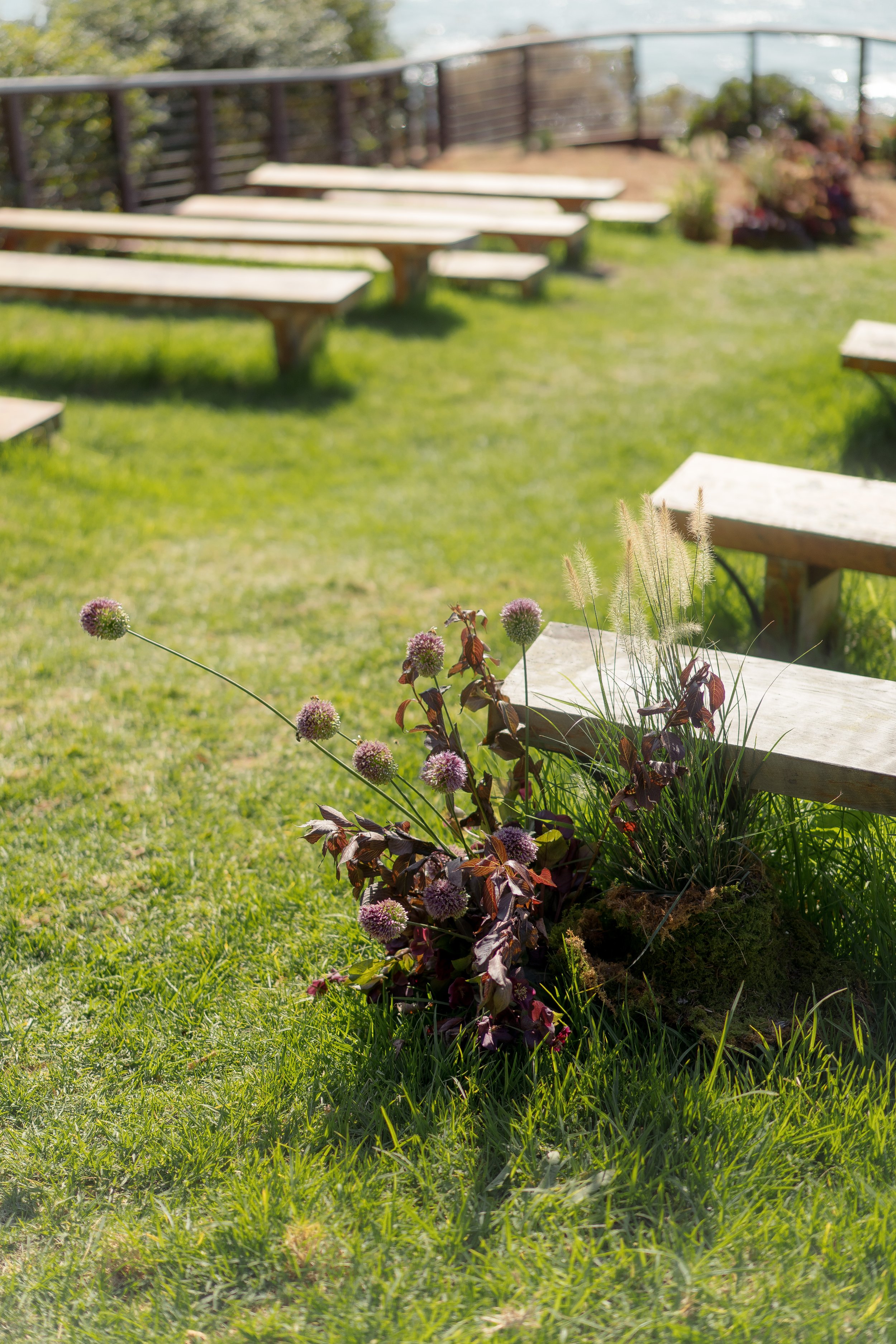 Stella + Carson -23.jpg