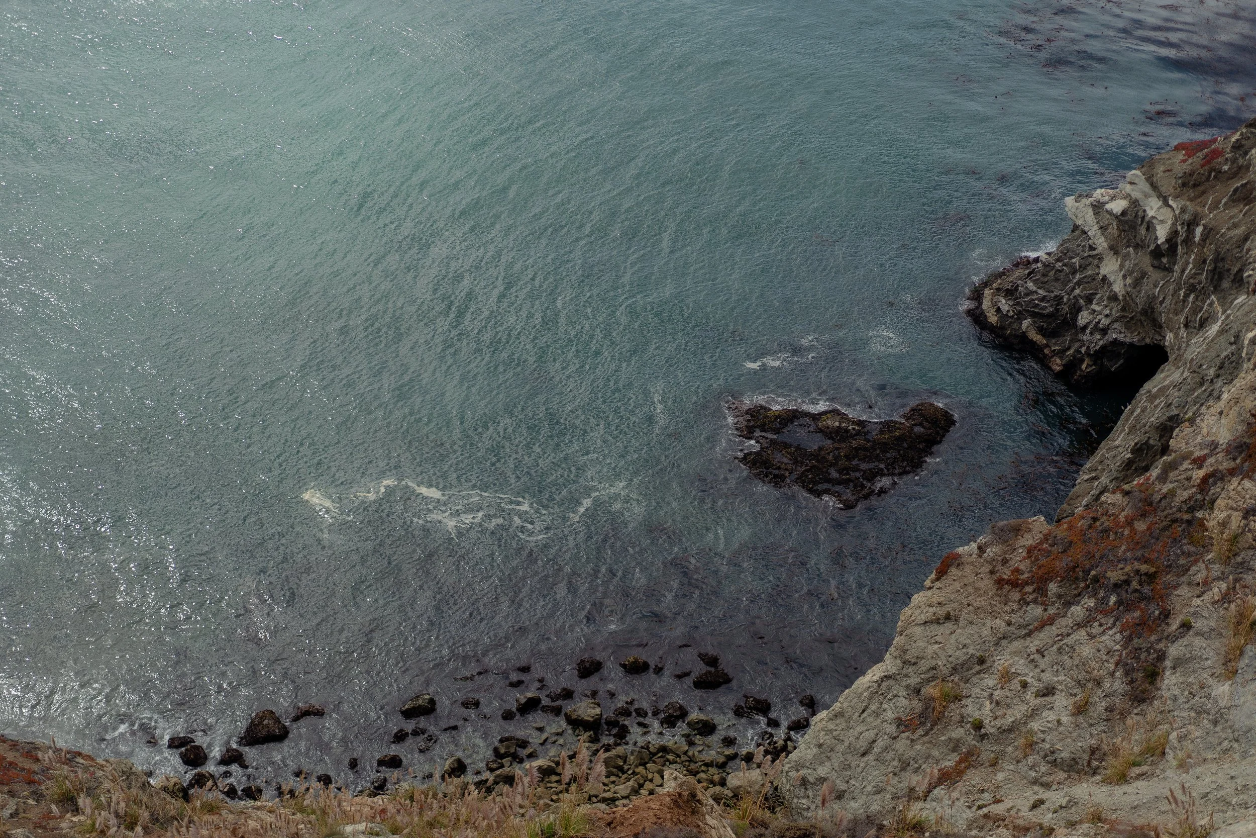 Stella + Carson -3.jpg