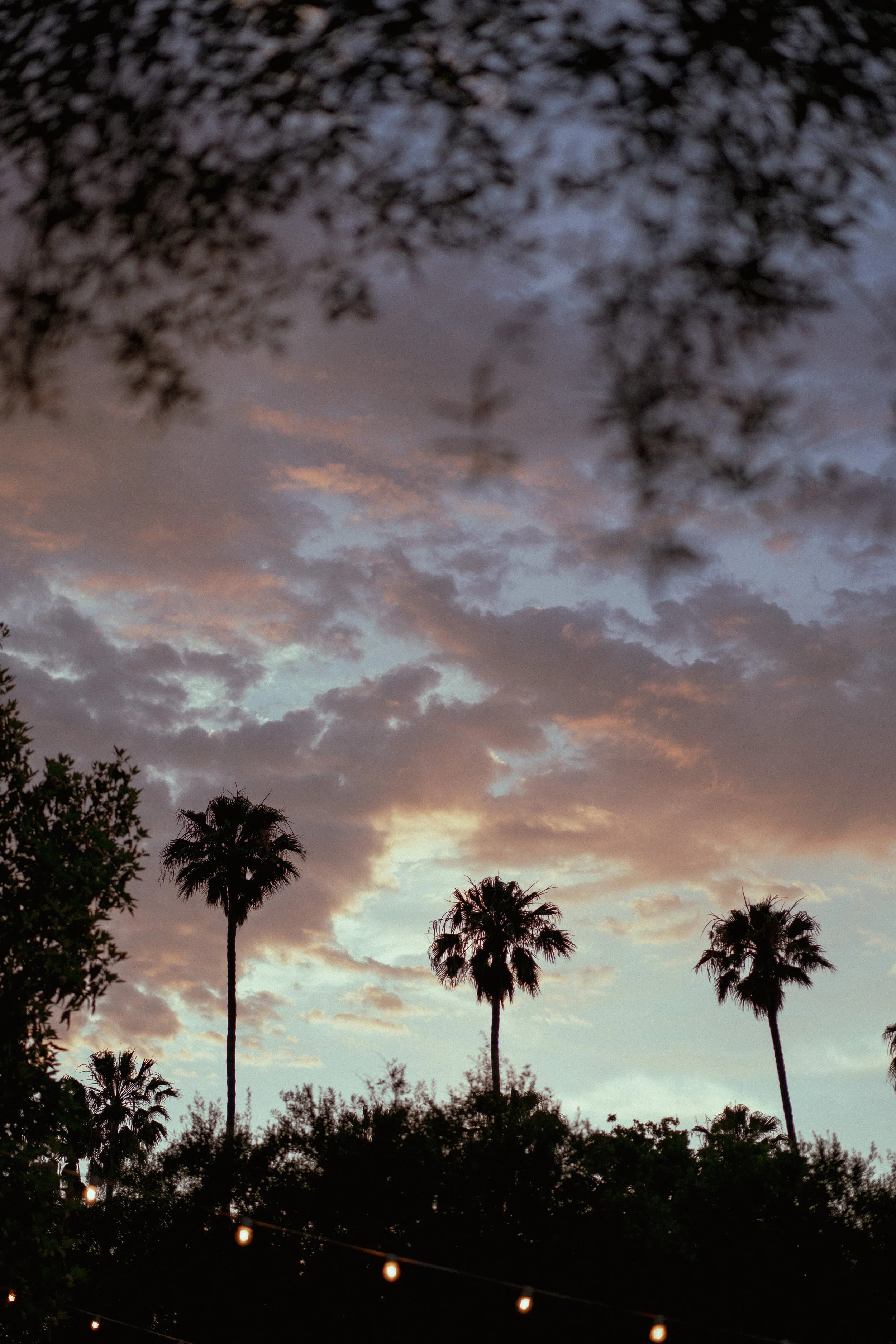 Jane + Lawrence V2-81.jpg