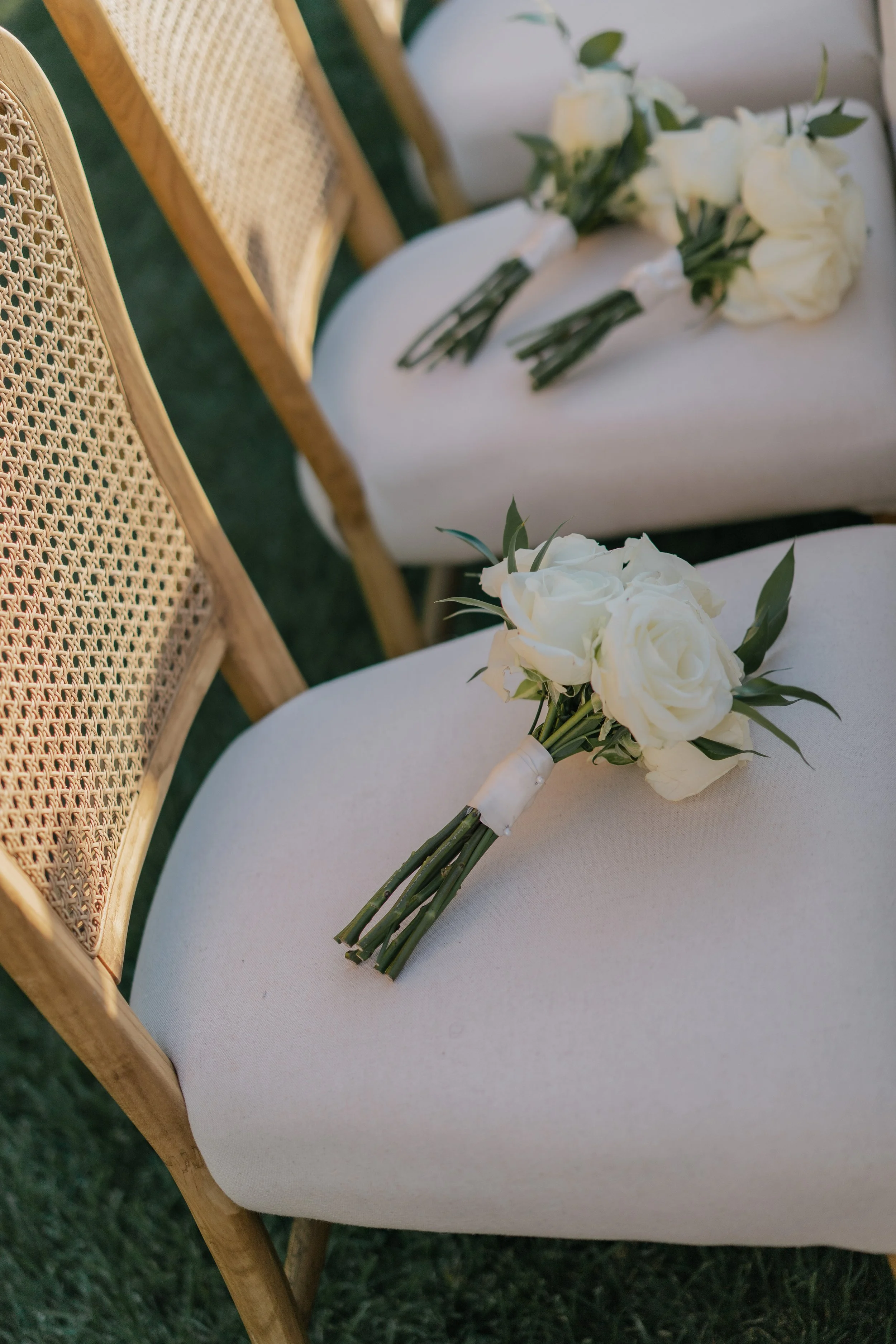 Senna + Jimmy v2 edits-74.jpg