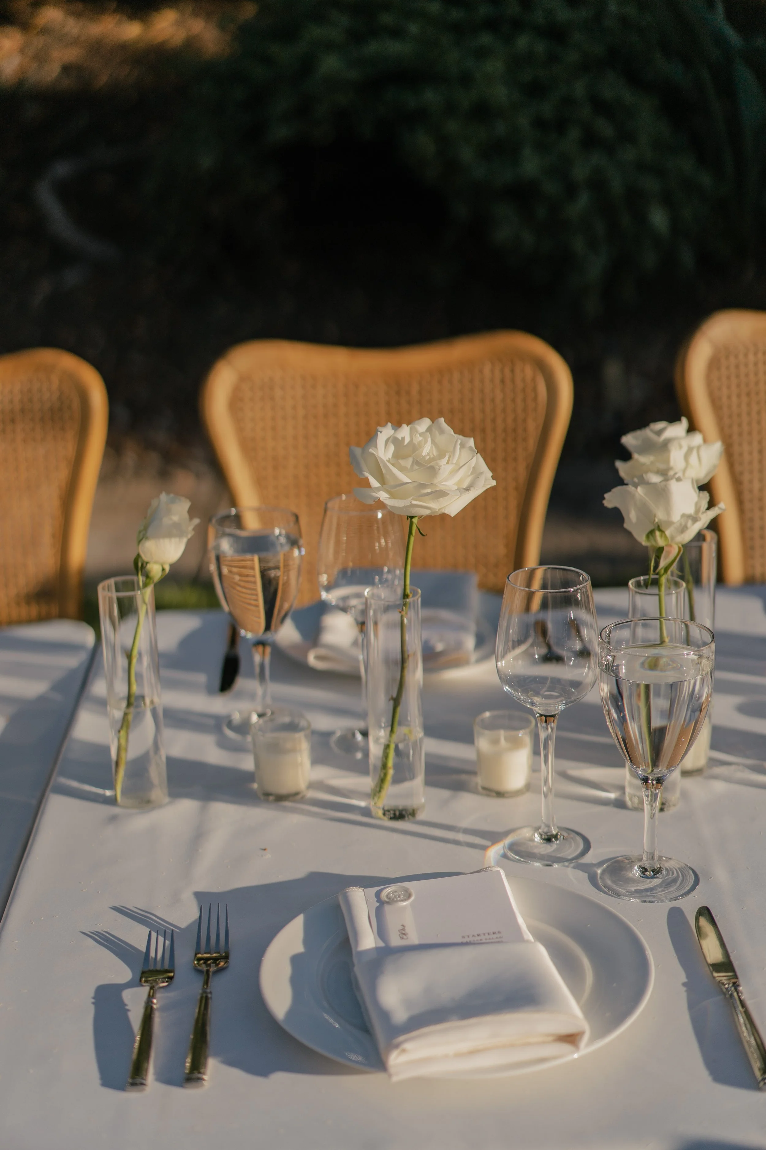 Senna + Jimmy v2 edits-72.jpg