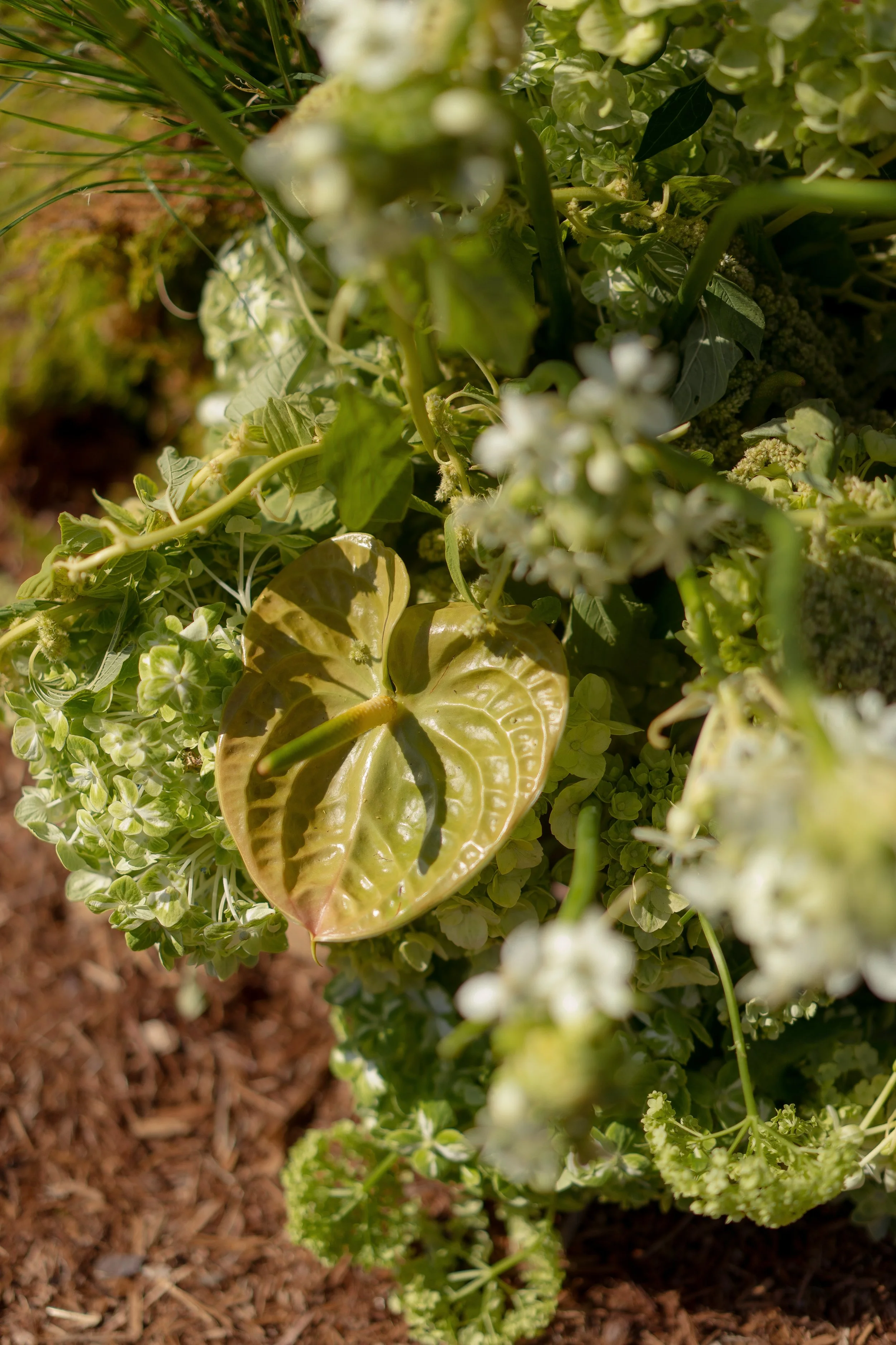 Stella + Carson -24.jpg