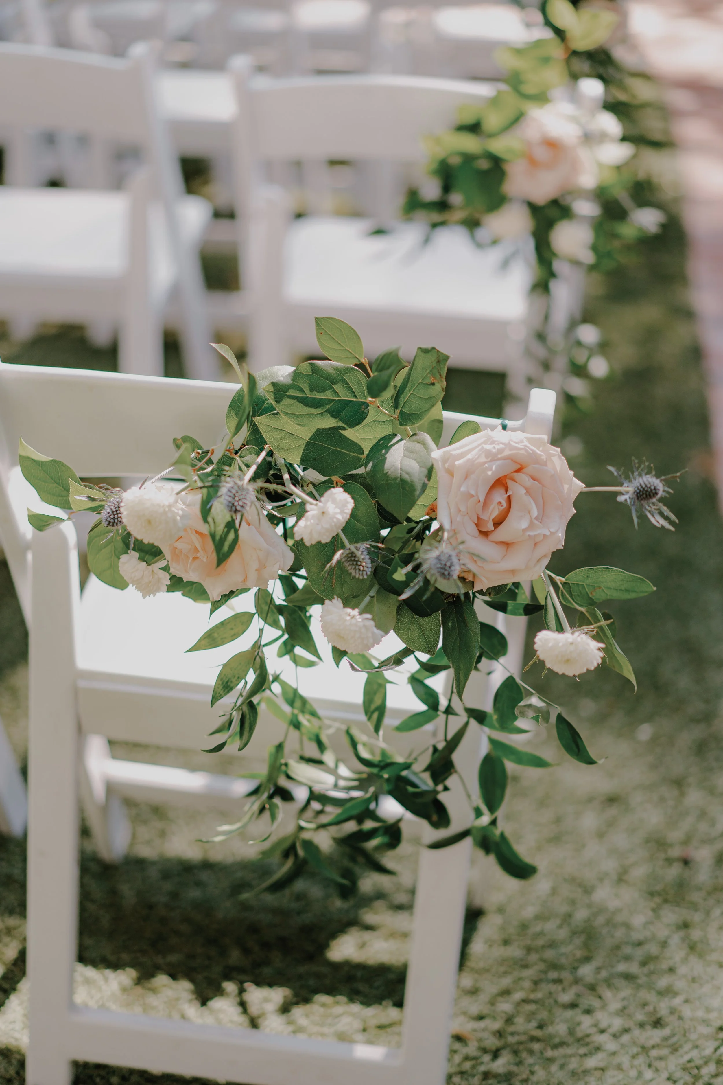 White wooden chairs decorated with pastel pink roses and white flowers for an outdoor wedding ceremony.
