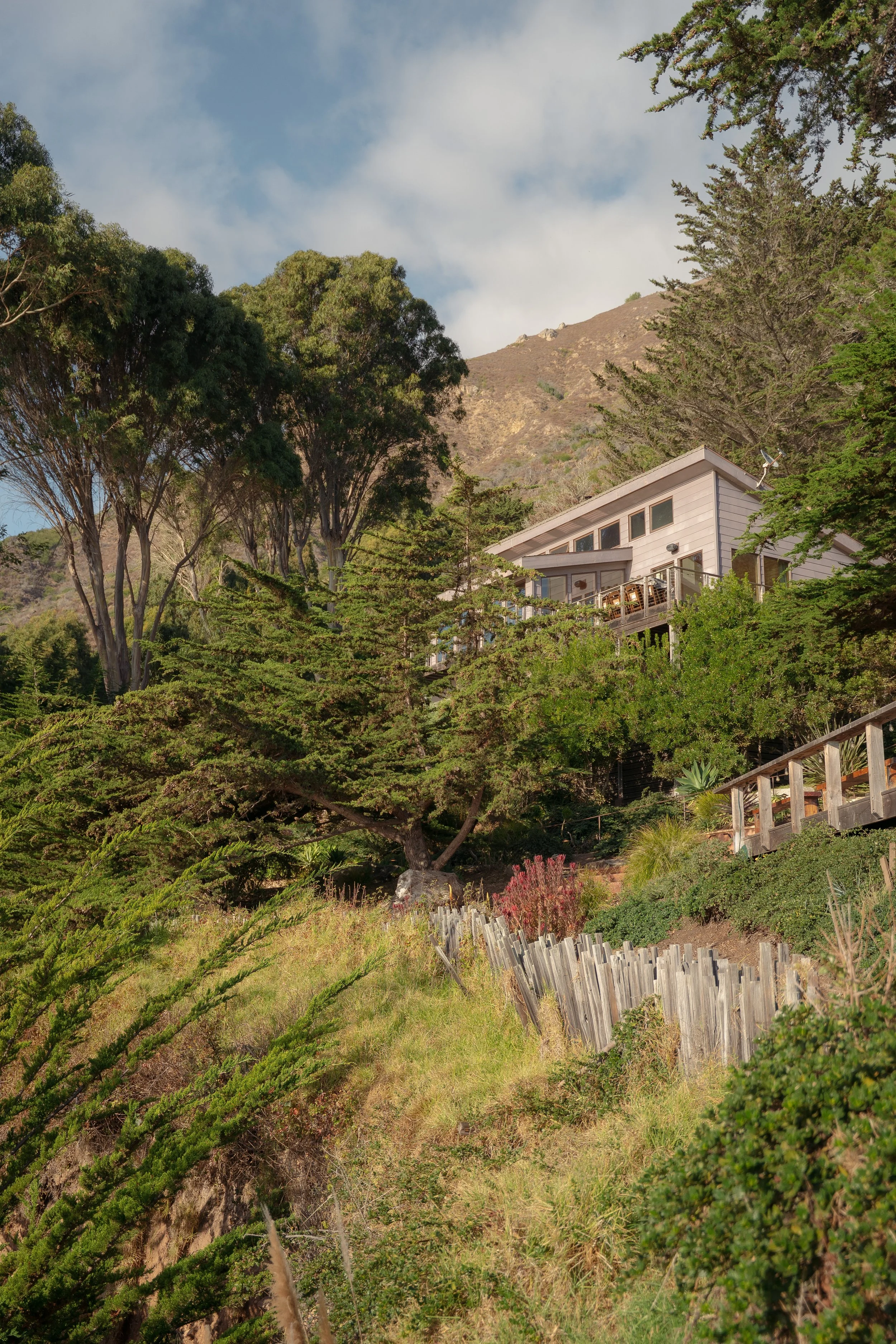 Stella + Carson -7.jpg