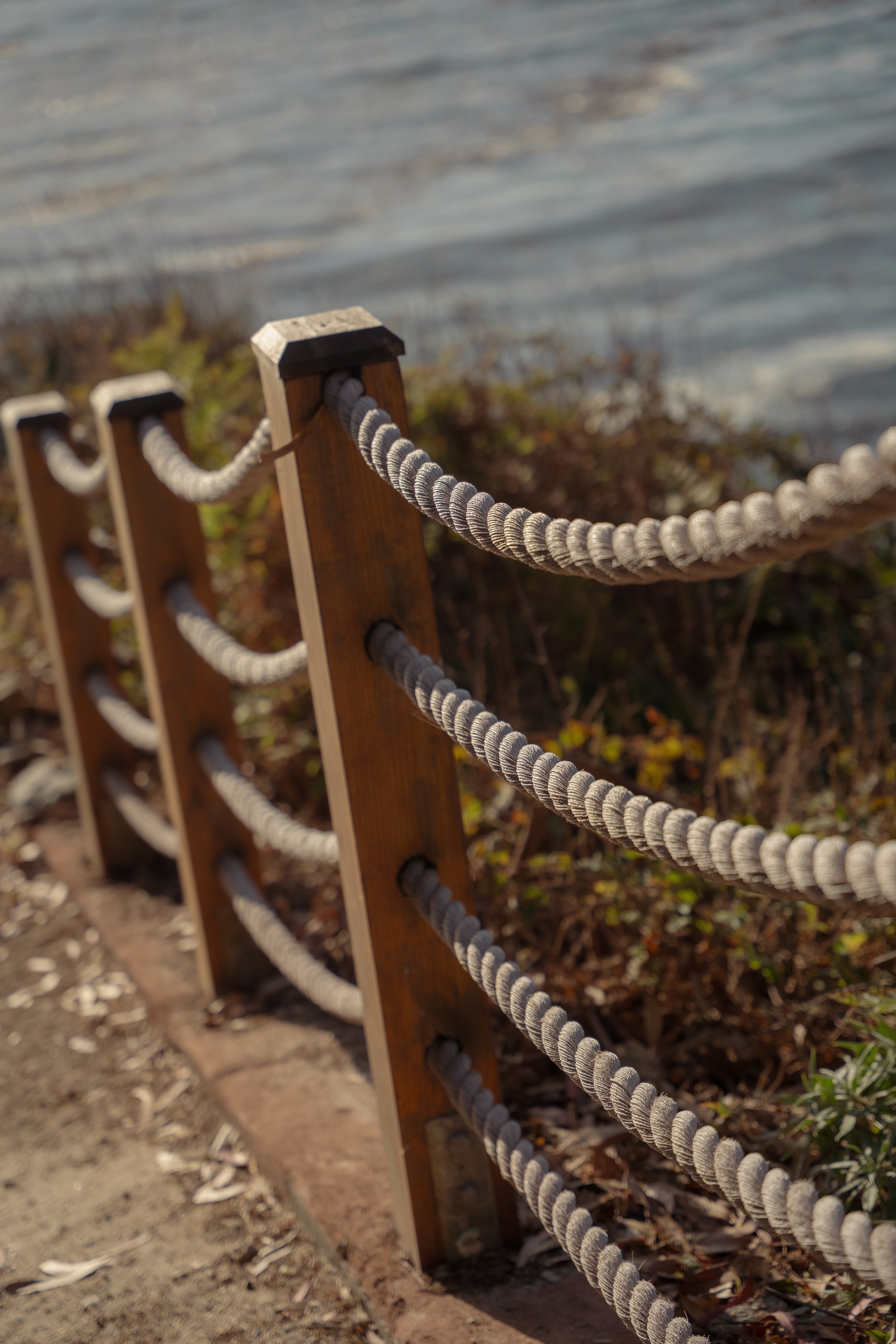 Stella + Carson -8.jpg