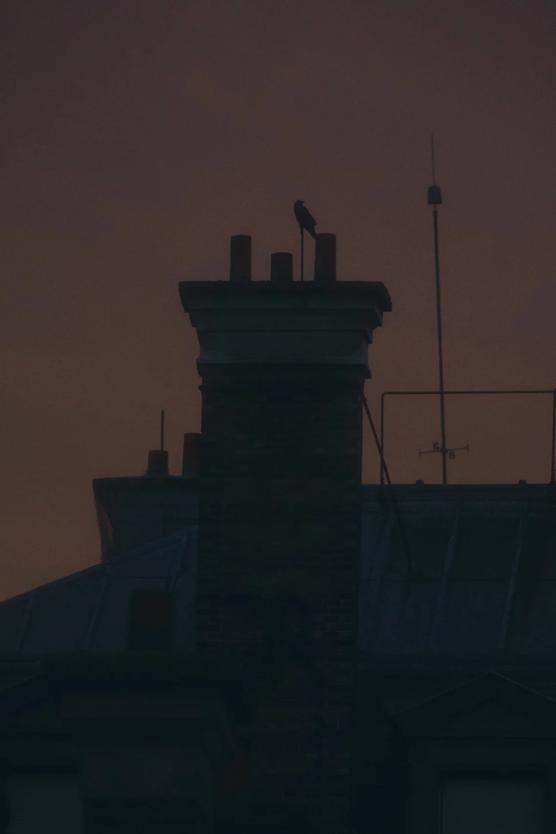 2025_Toits de Paris_1476.jpg