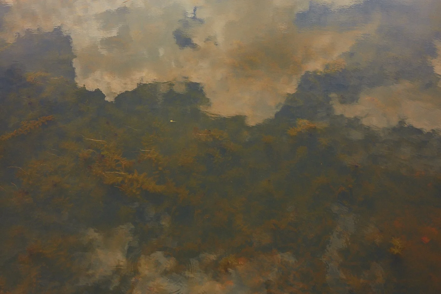 2024_Siem Reap_Sky in the lake.jpg