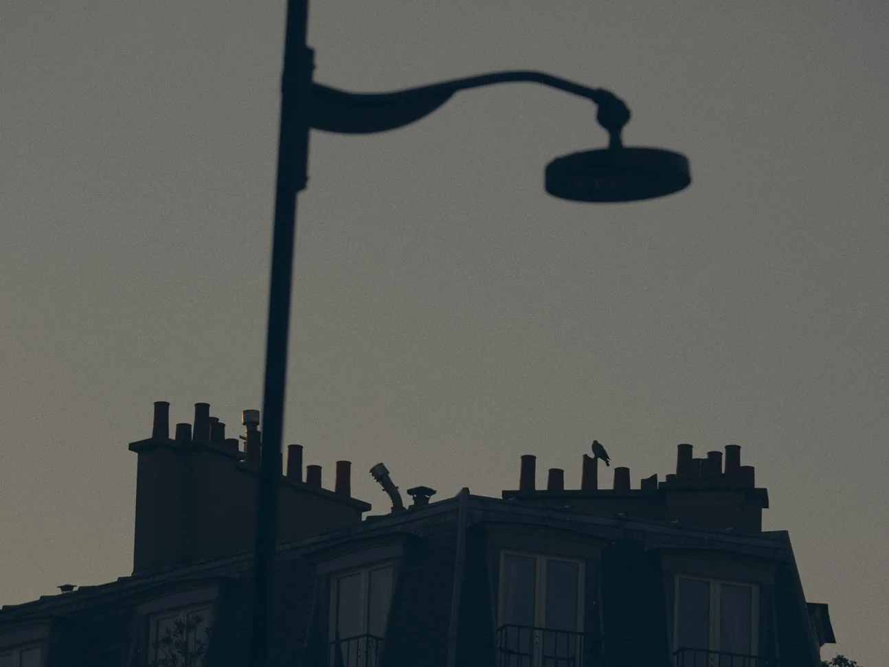 2025_Toits de Paris_1173.jpg