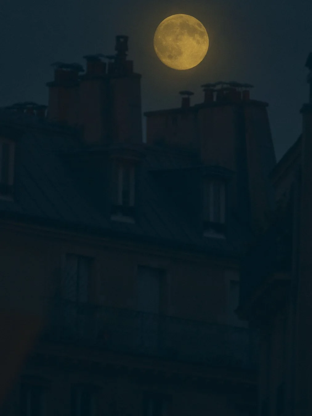 2025_Toits de Paris_1496.jpg