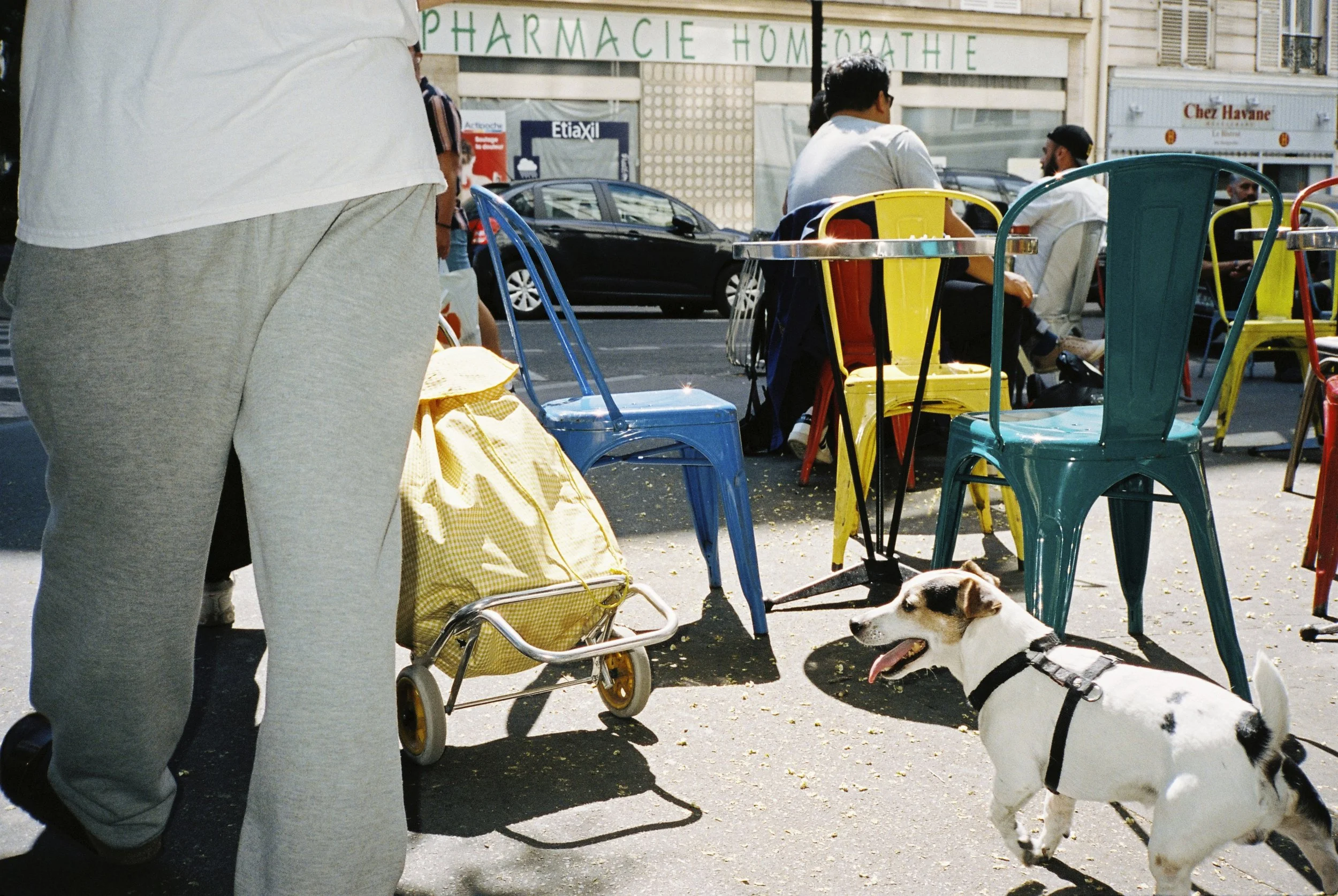2020_07_TRIBE_FILM_1752.jpg