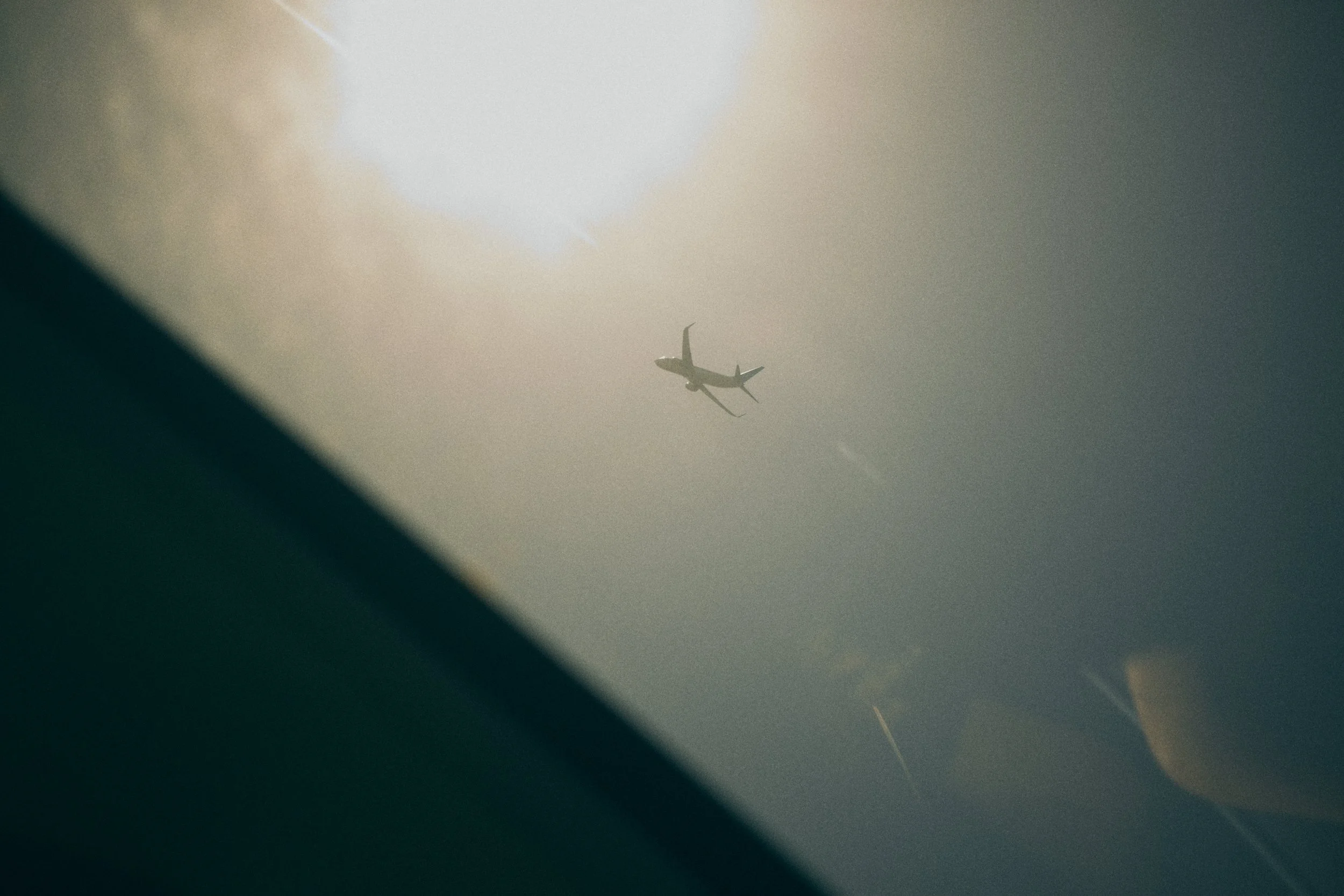 2025_07_40mm_0144 1.jpg