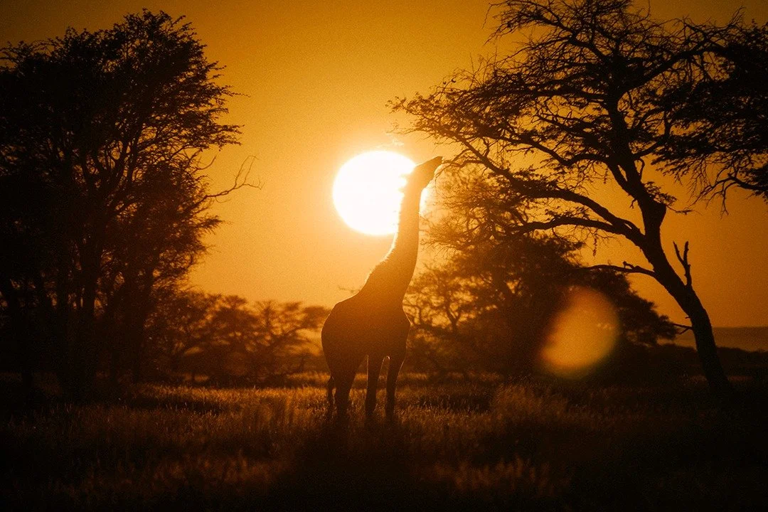 Nothing quite compares to the Namibian sunsets, still one of the most beautiful properties we've had the pleasure of shooting. 

Location @habitasnamibia 
Stylist @we_happygolucky 
Photographer @k.groenewald 

#destinationtravel
#luxurylifestyle
#tra