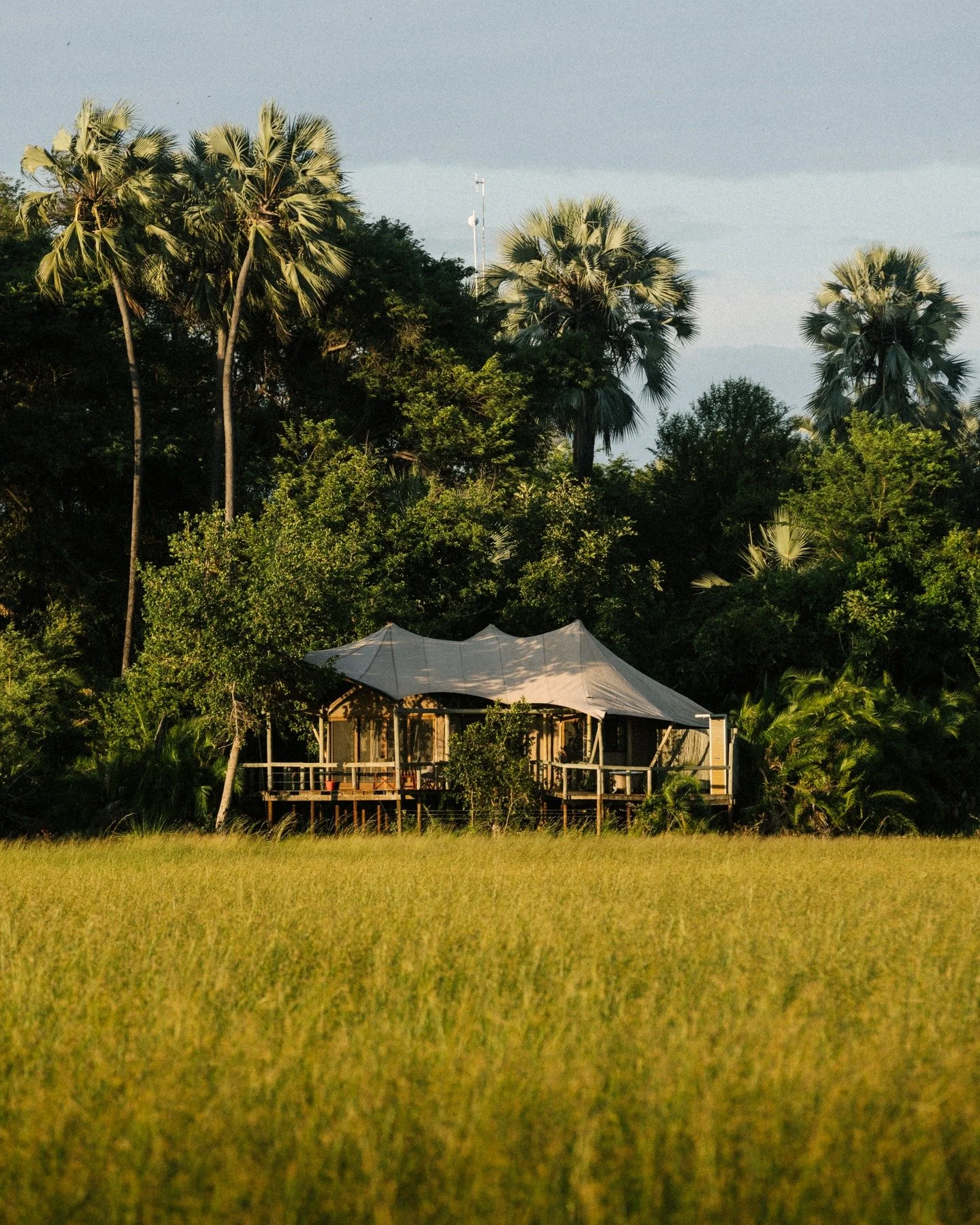 Some images from a recent shoot in the Okavango Delta.

Location @wearewilderness 
Photographer @k.groenewald

#destinationtravel
#luxurylifestyle
#travelgrams
