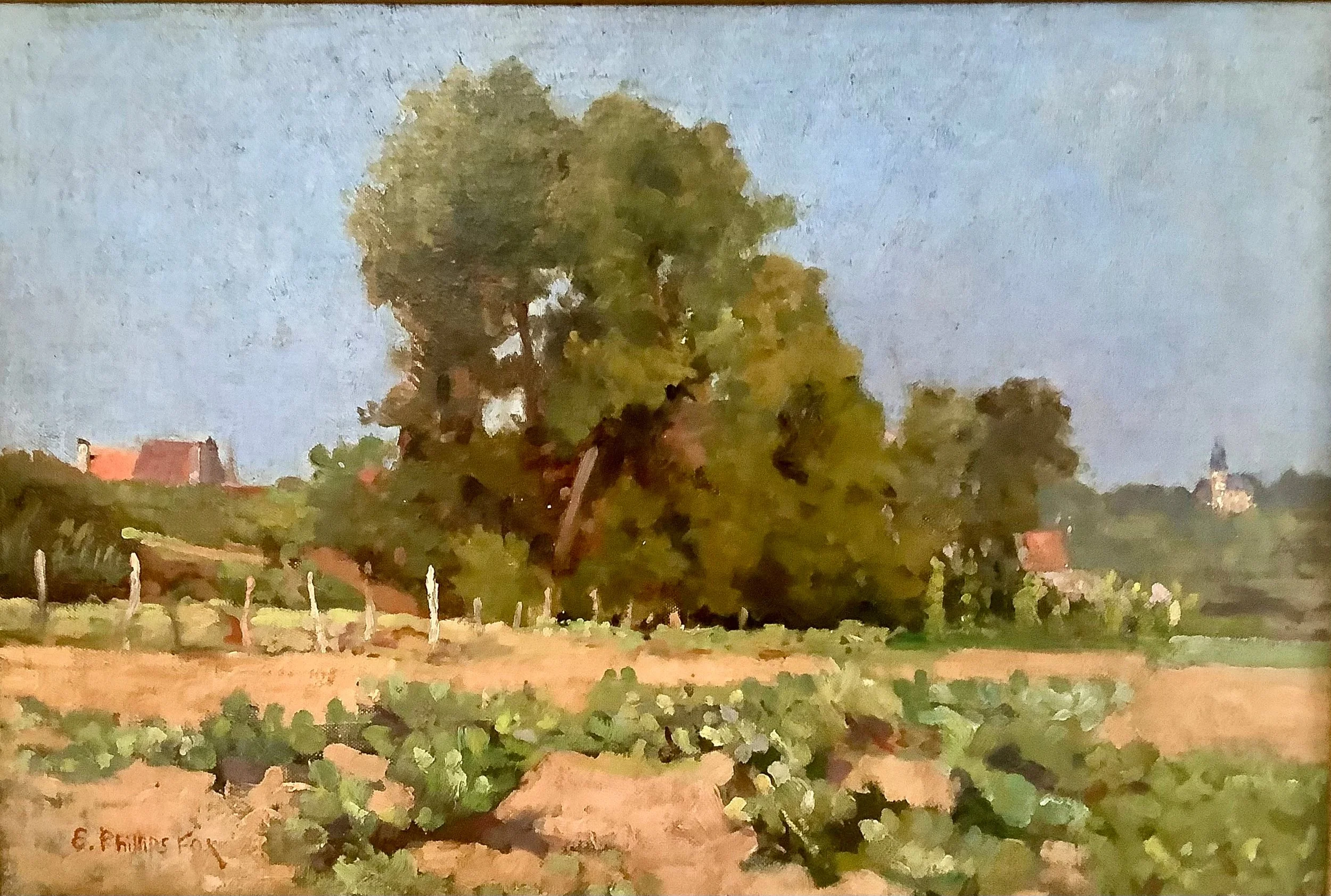 Emanuel Phillips Fox (1865-1915) Cabbages in field