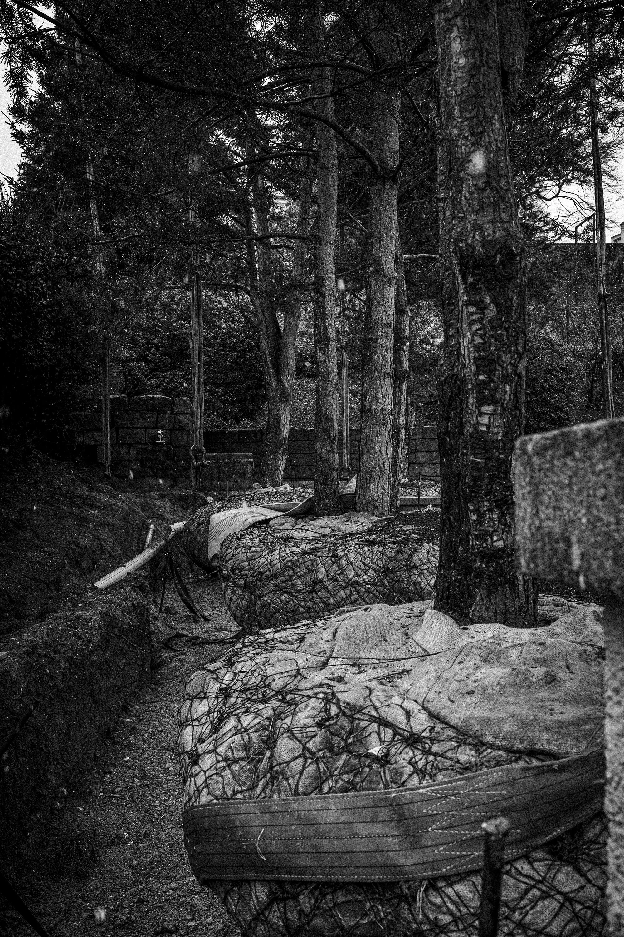 Tree Planting for Historic Villa Garden in Zurich, Switzerland by Studio Leaf Landscape Architecture