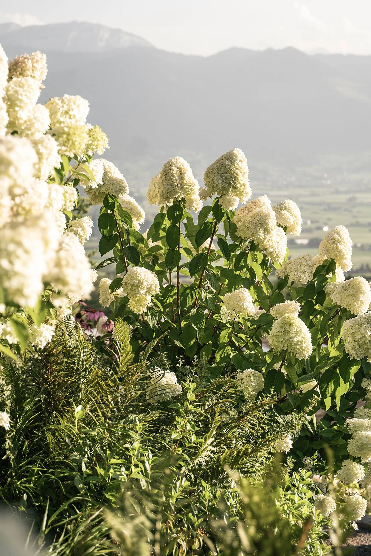 Studio Leaf Landscape Architecture Garden Design Lake Zurich