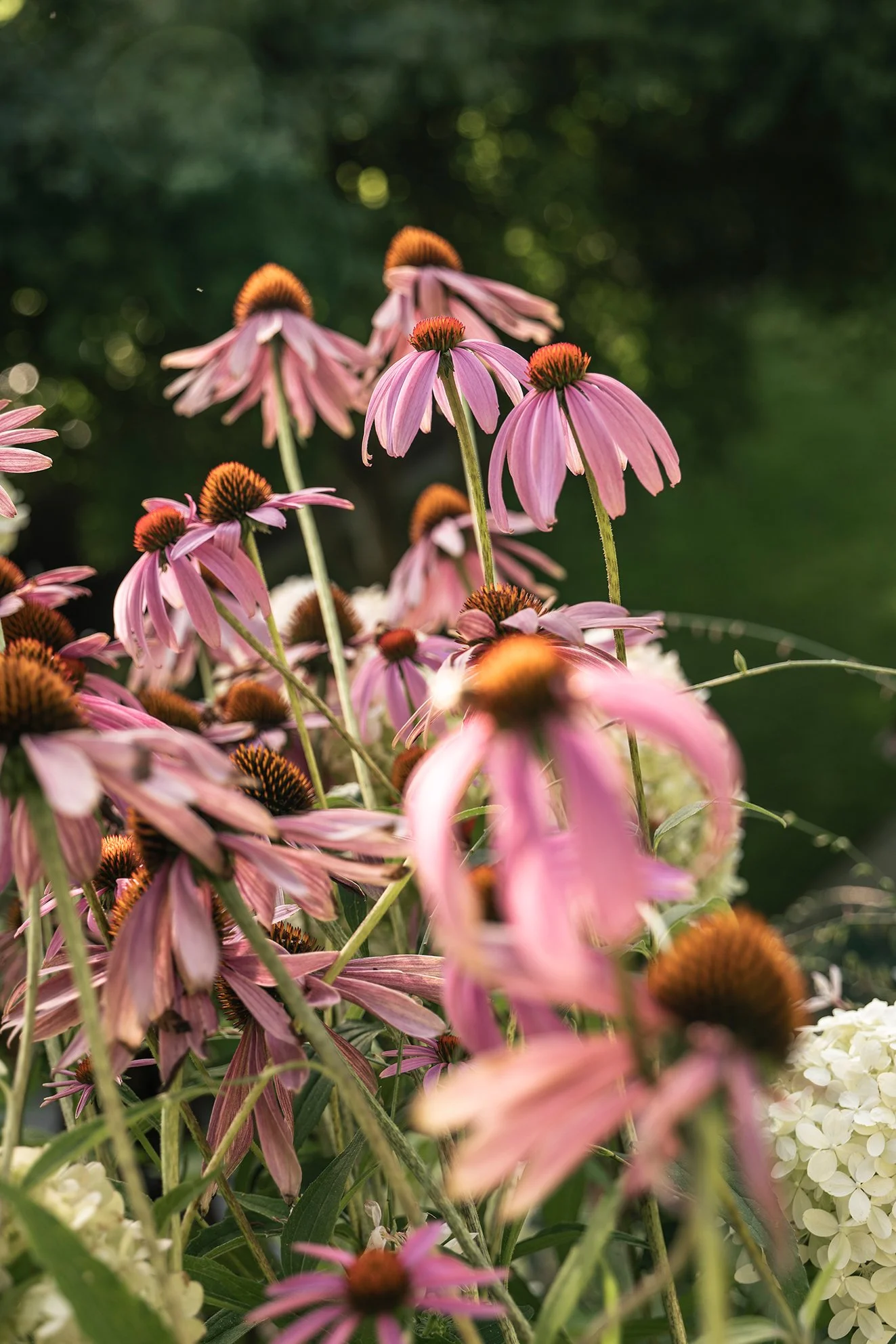 Studio Leaf Landscape Architecture Garden Design Lake Zurich