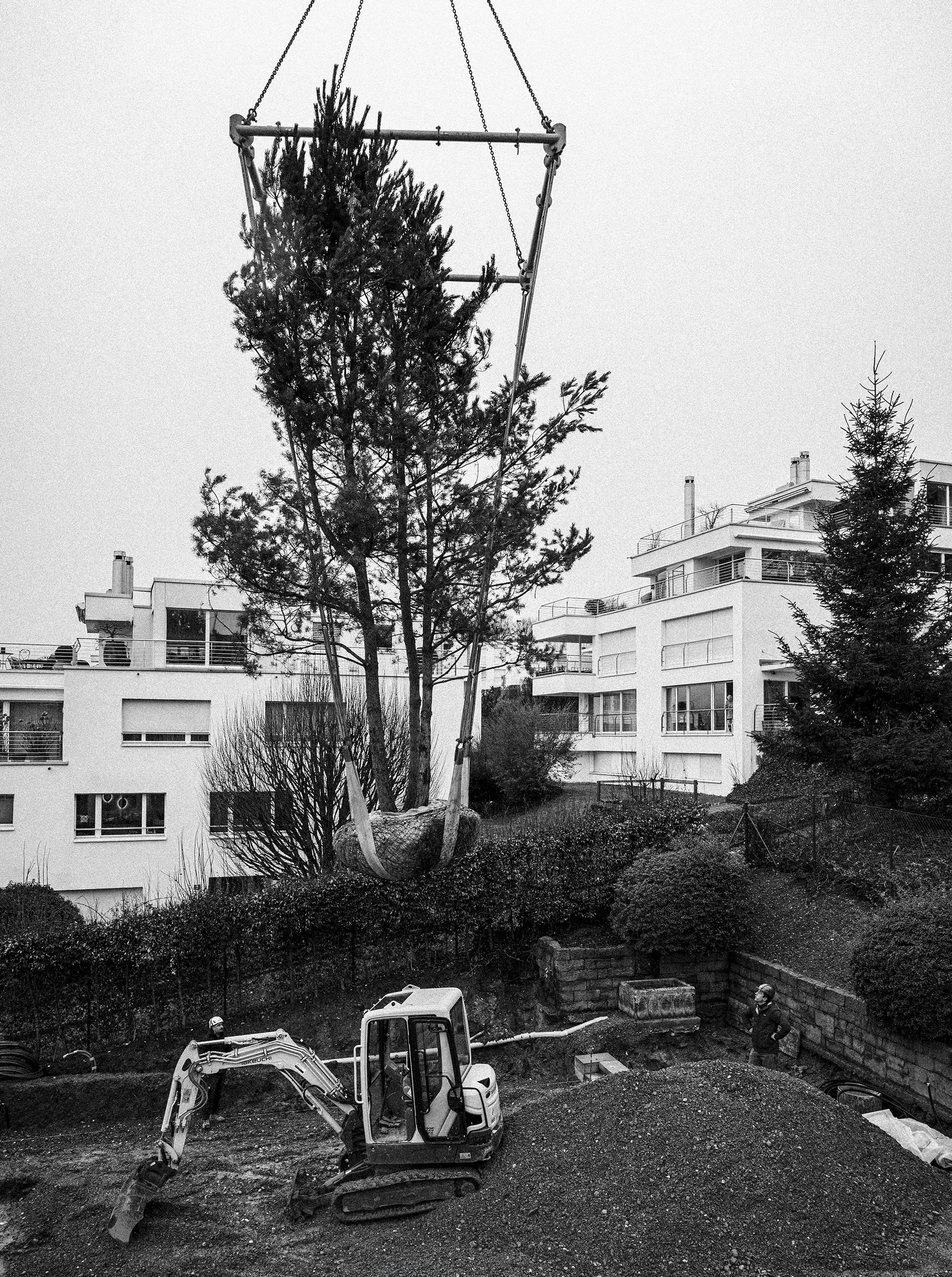 Tree Planting for Historic Villa Garden in Zurich, Switzerland by Studio Leaf Landscape Architecture