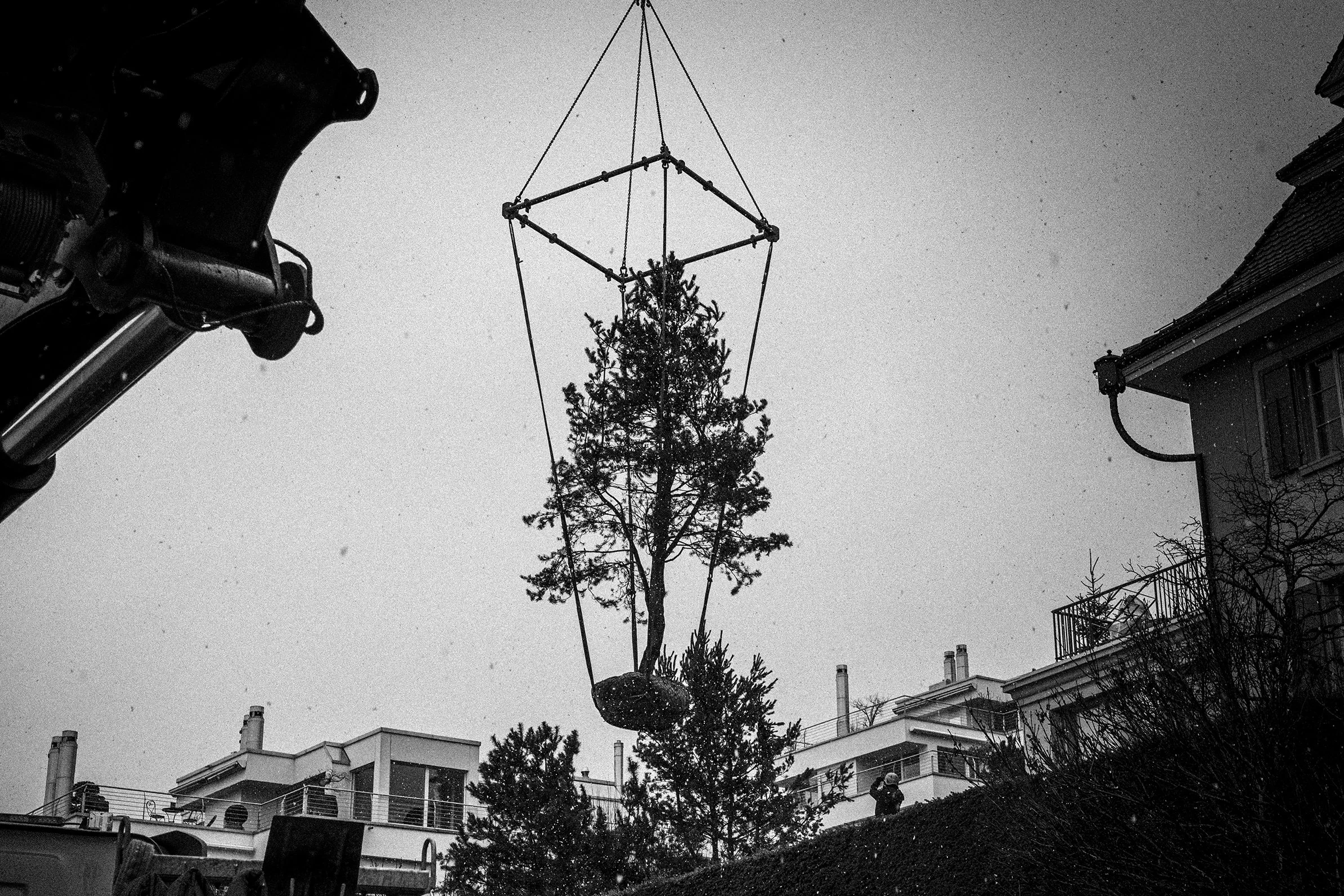 Tree Planting for Historic Villa Garden in Zurich, Switzerland by Studio Leaf Landscape Architecture