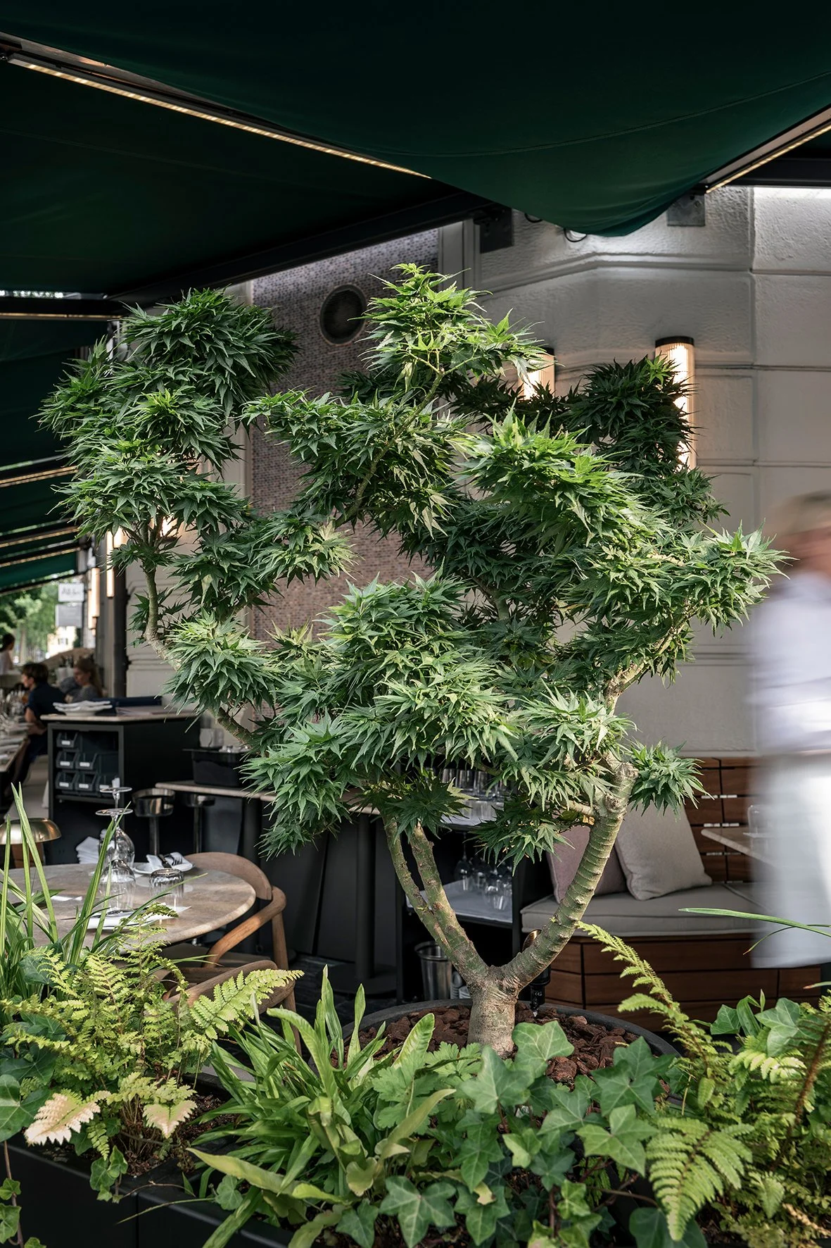 Capri Bistrot Terrace in Zurich Seefeld designed by Studio Leaf Landscape Architecture