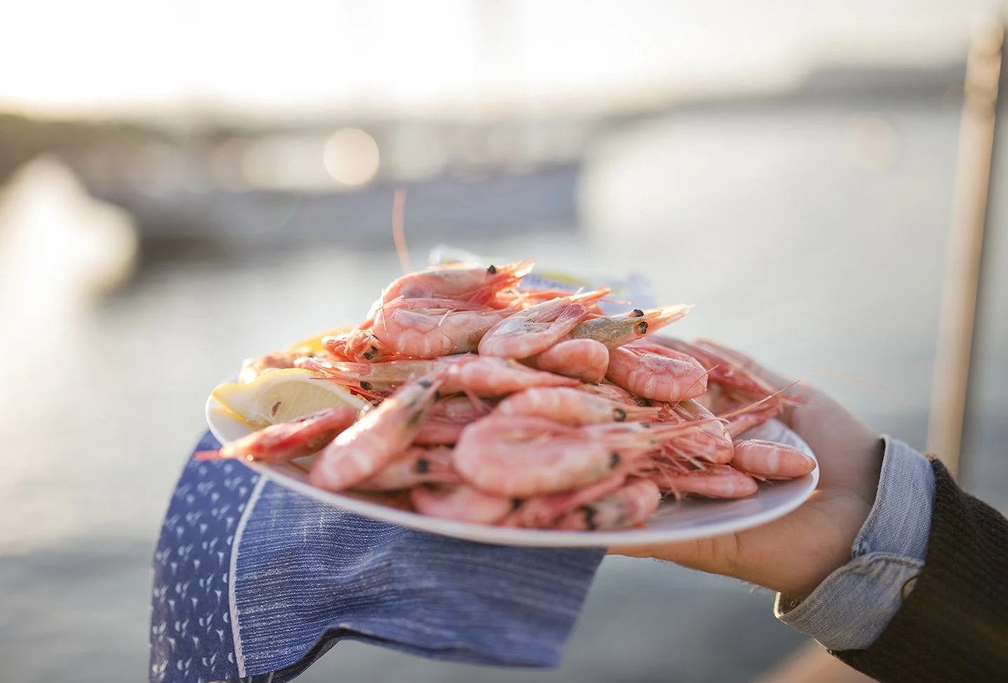 Shrimp evening