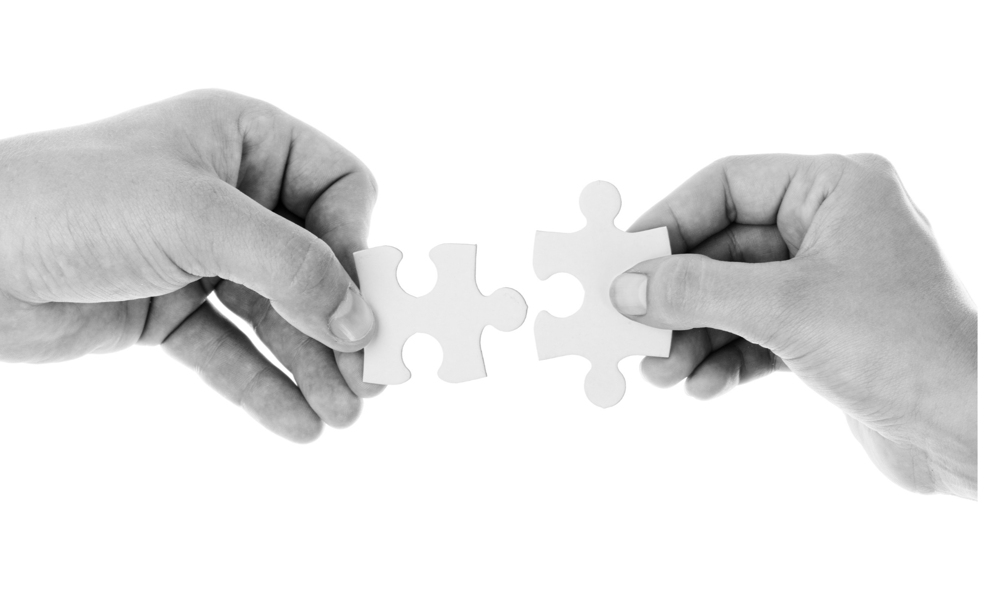 Hormones work as a network