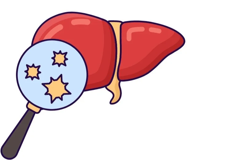 Leberenzyme