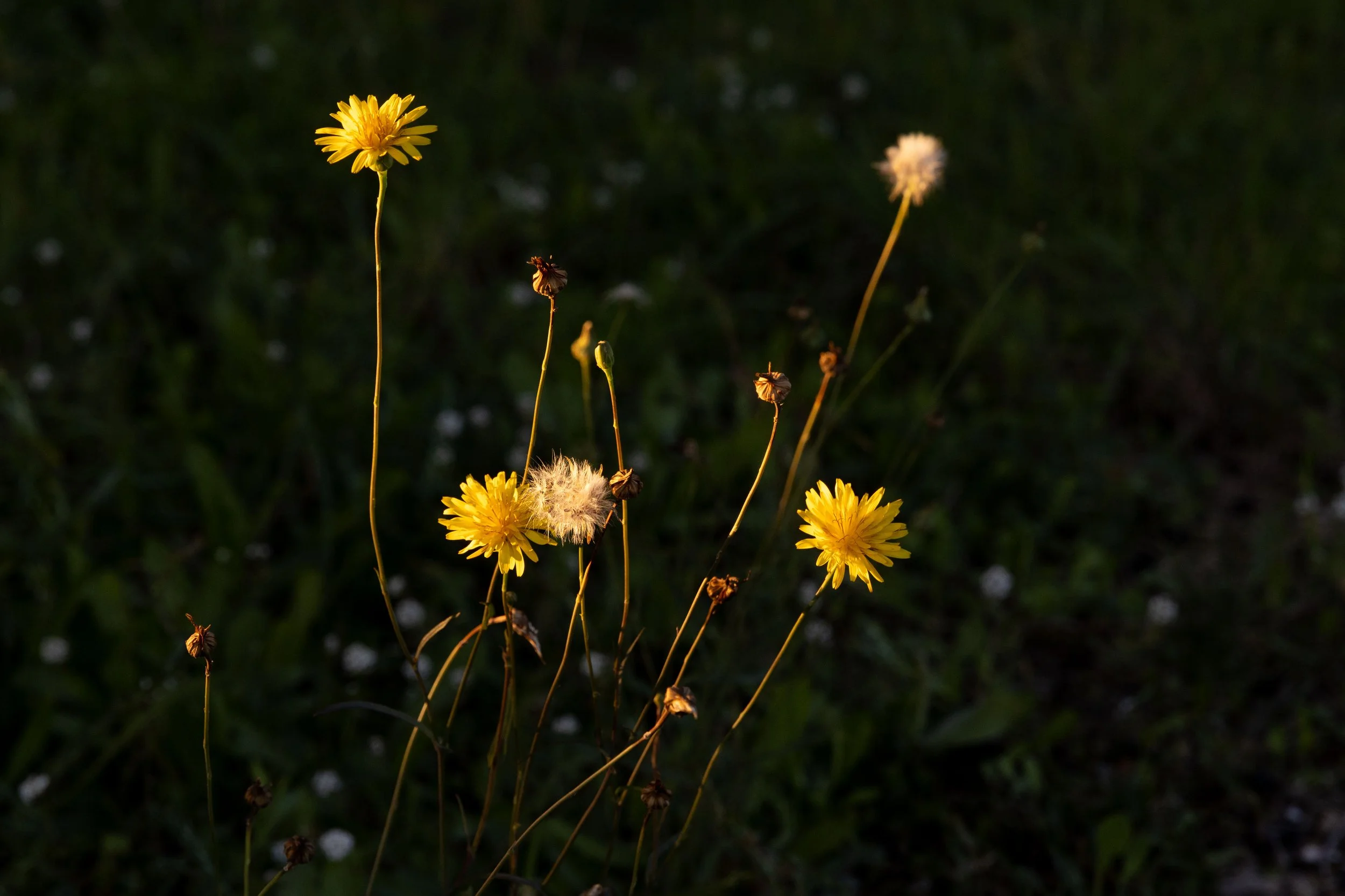 X_Deep Reset Sanary-524.jpg