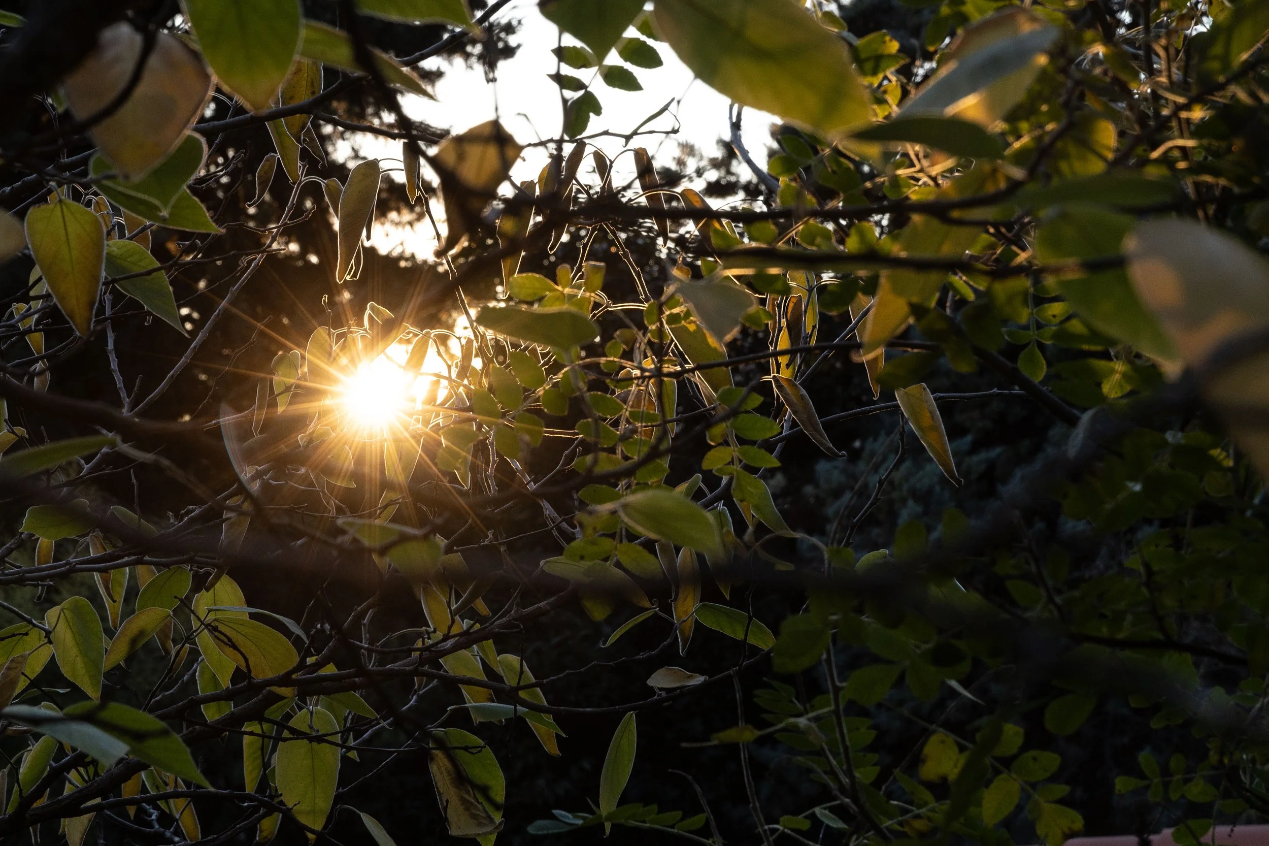 X_Deep Reset Sanary-530.jpg