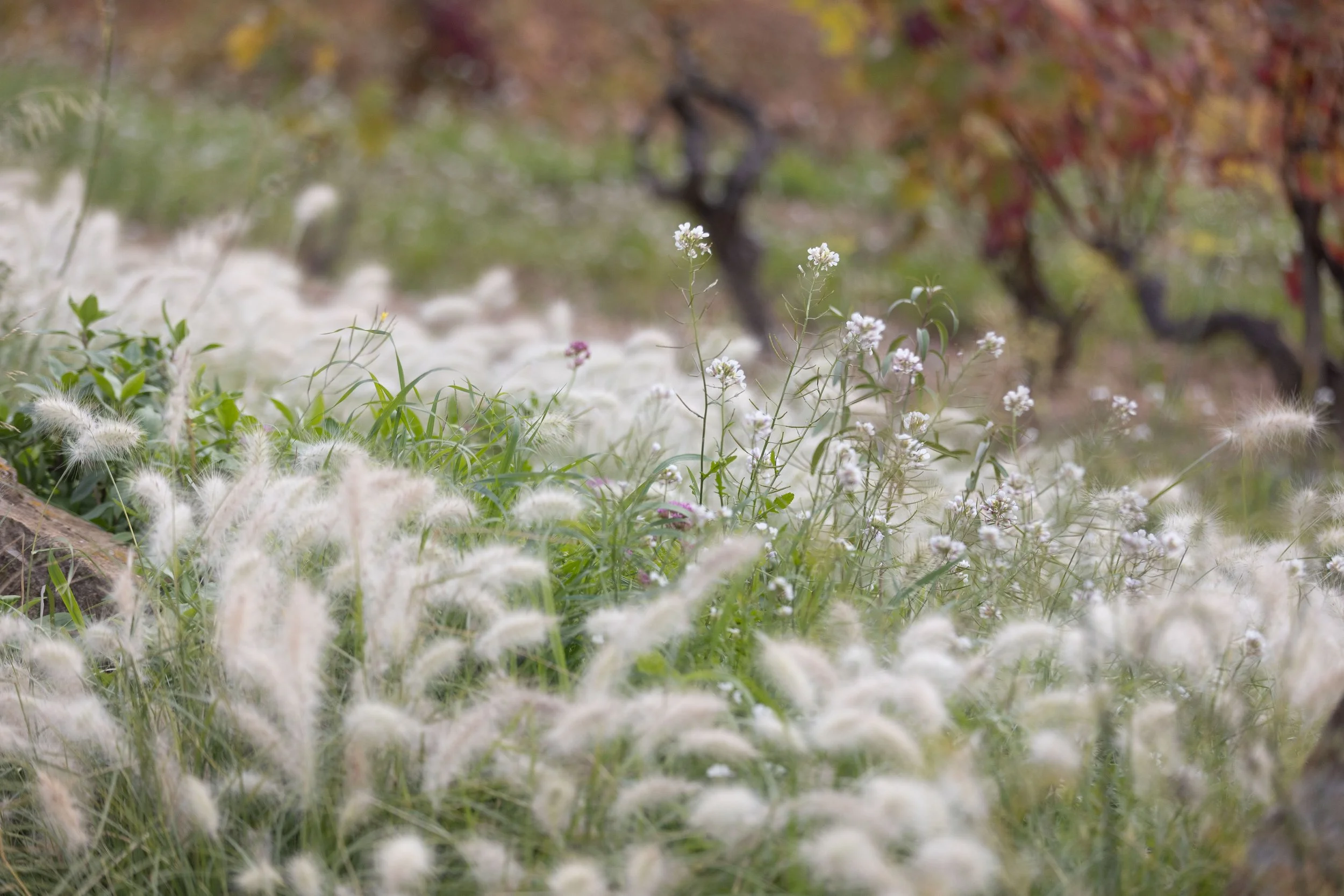 X_G Deep Reset Sanary -69.jpg