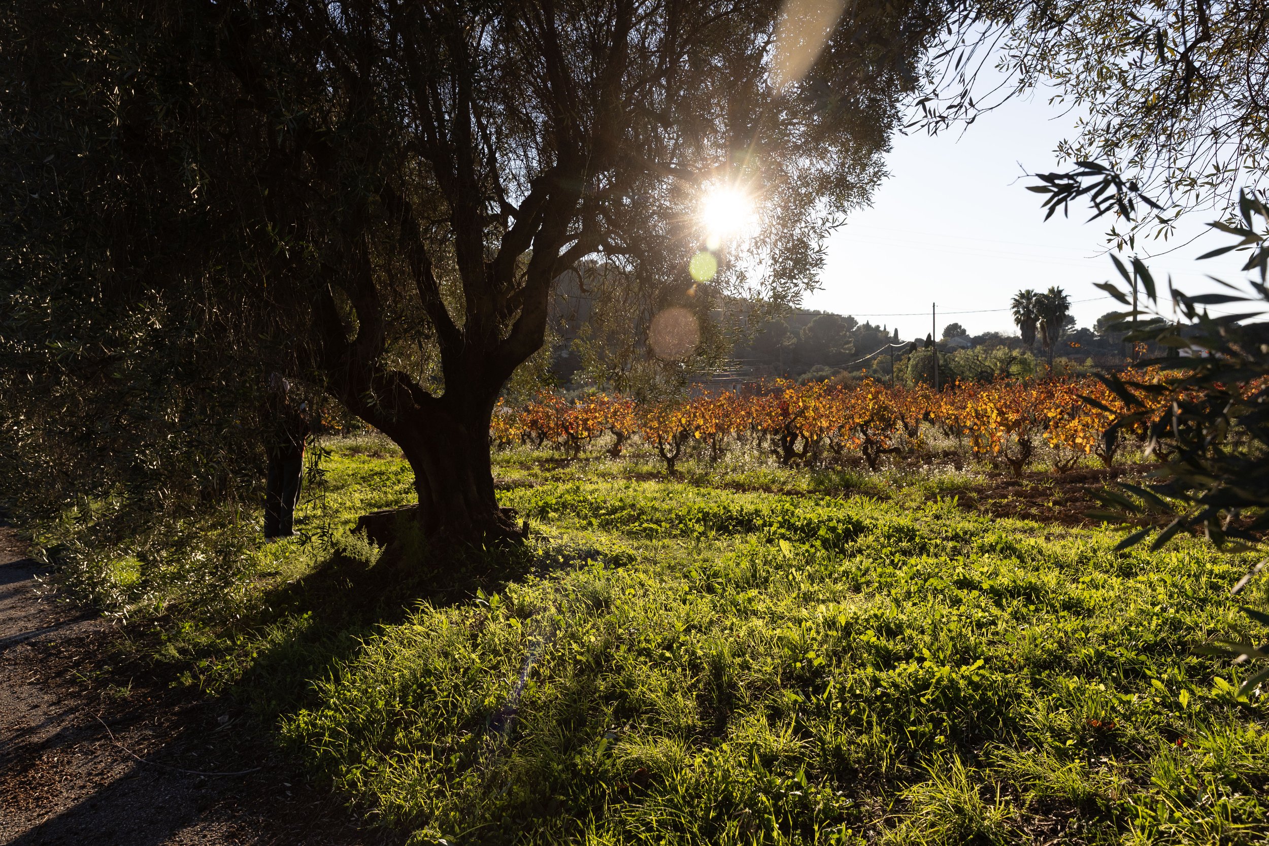 X_Deep Reset Sanary-499.jpg